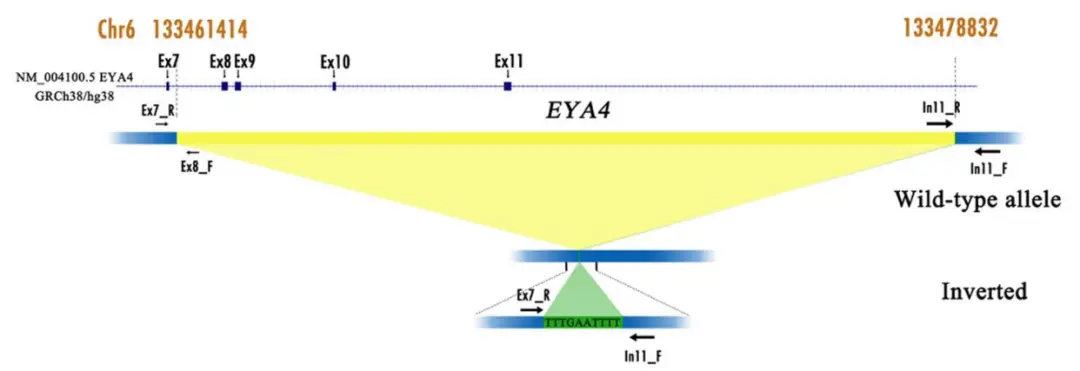 An image to describe post