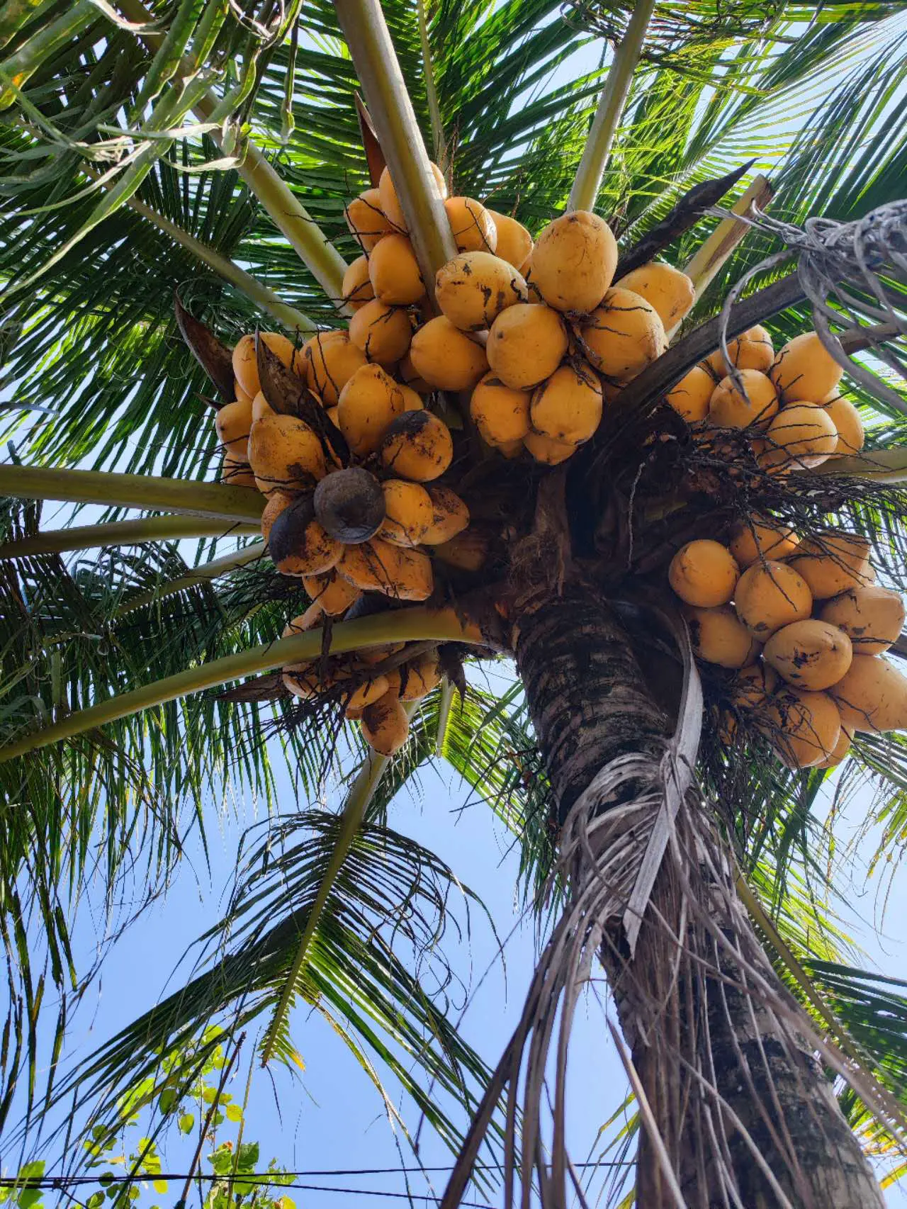 An image to describe post