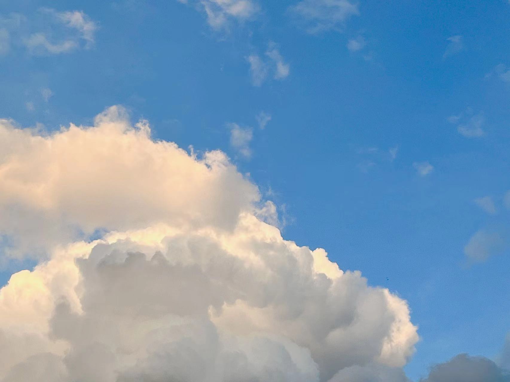 Semi-paranoid #14 世界比你想象得更广阔