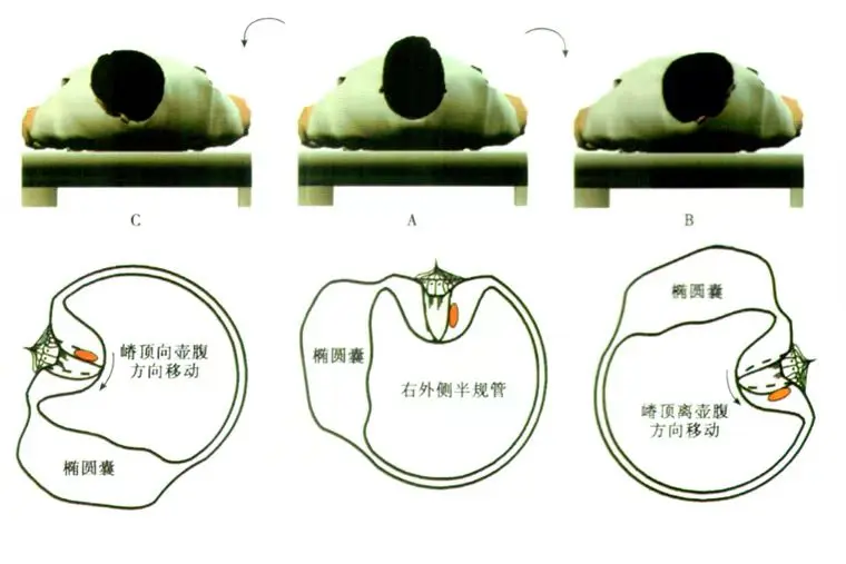 An image to describe post