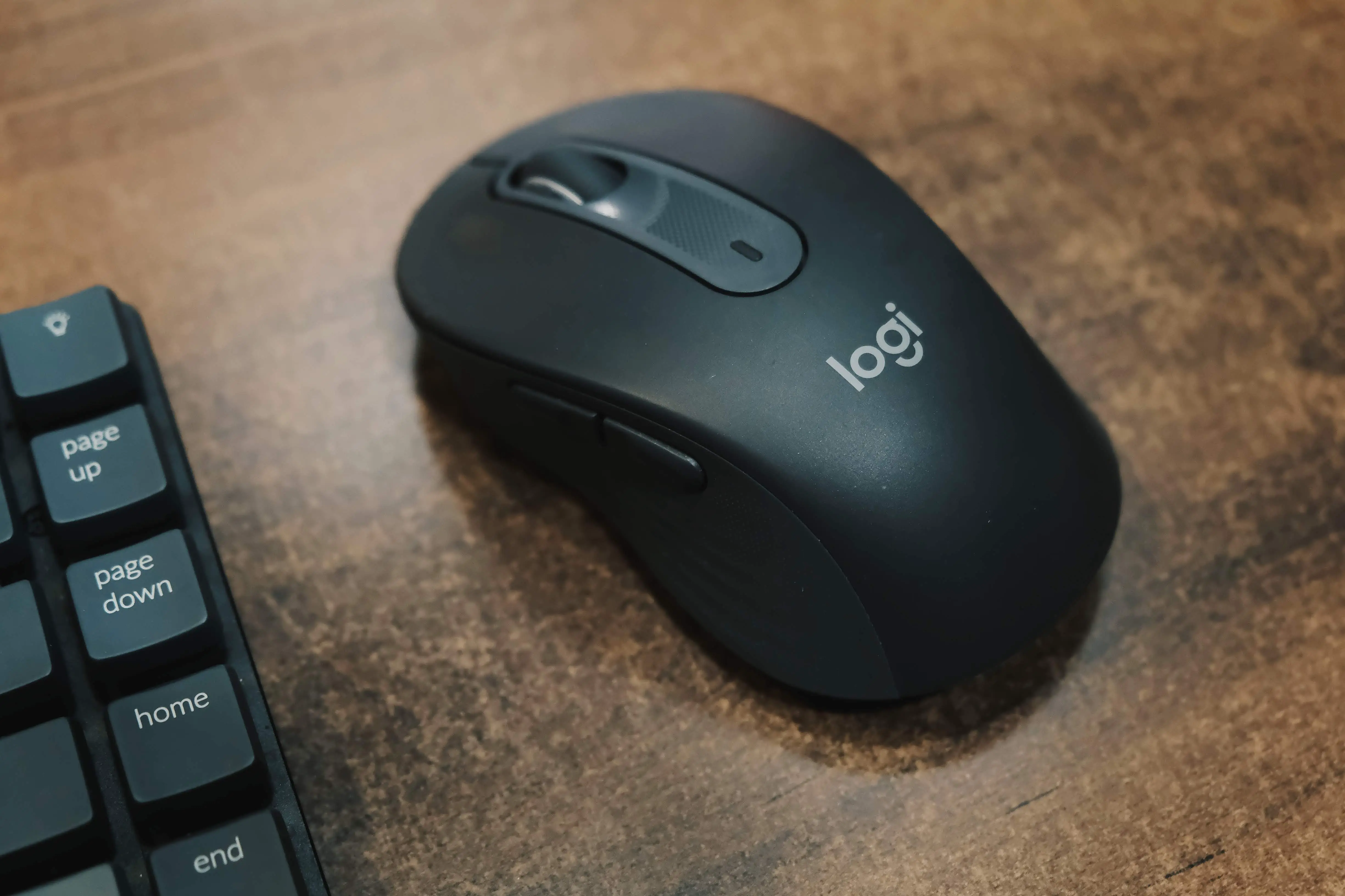 我脑袋里的怪东西 18 - 今年十个最值得的投资