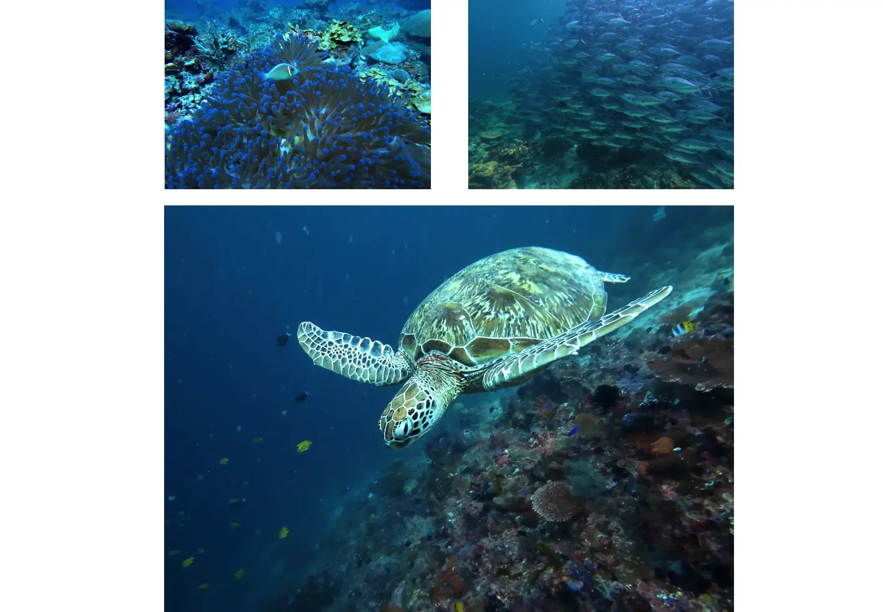 An image to describe post