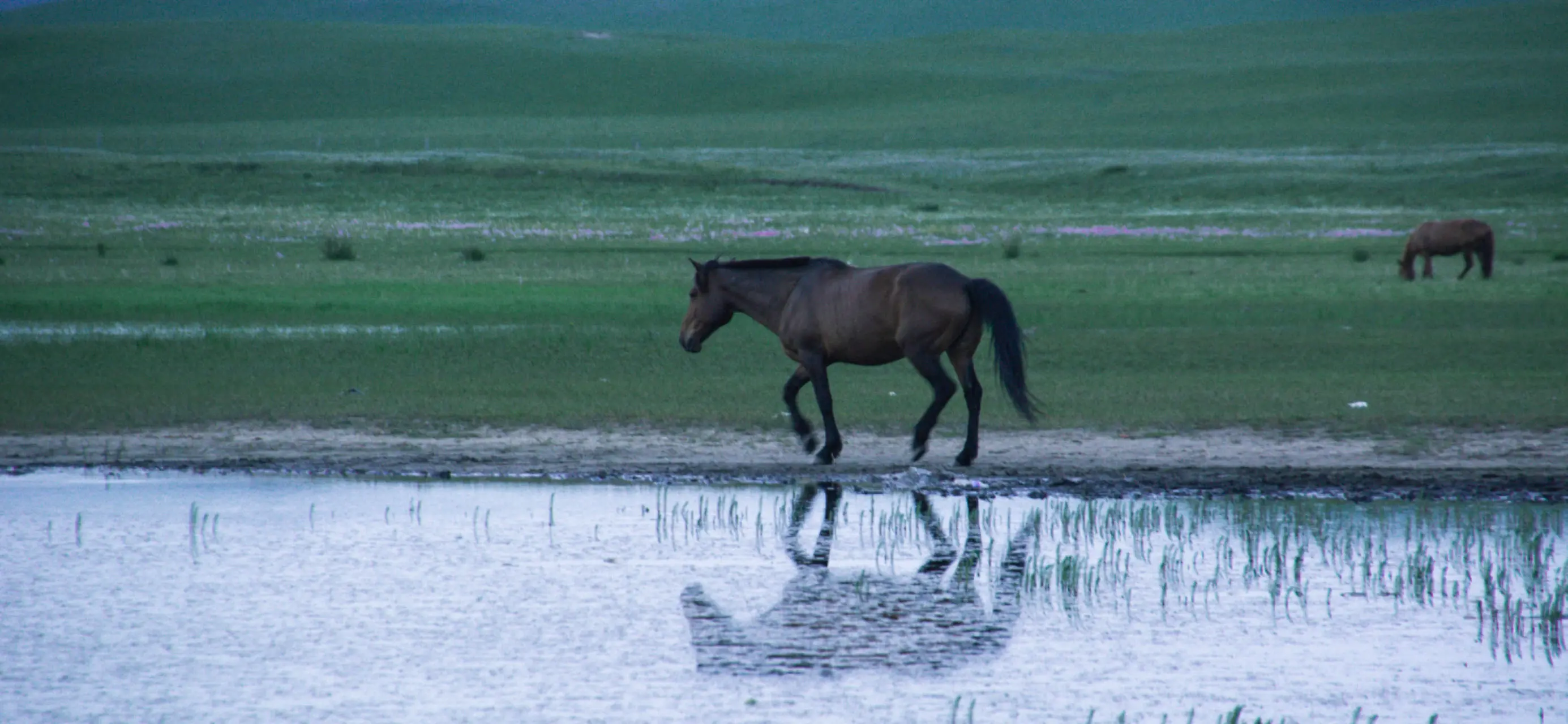 An image to describe post