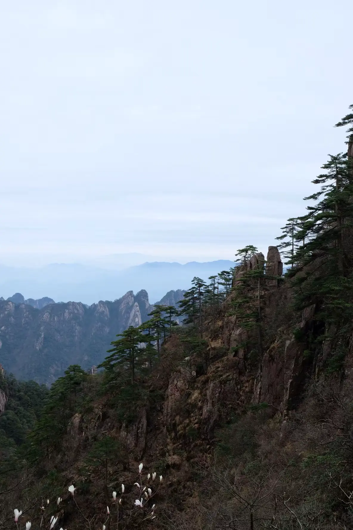 An image to describe post