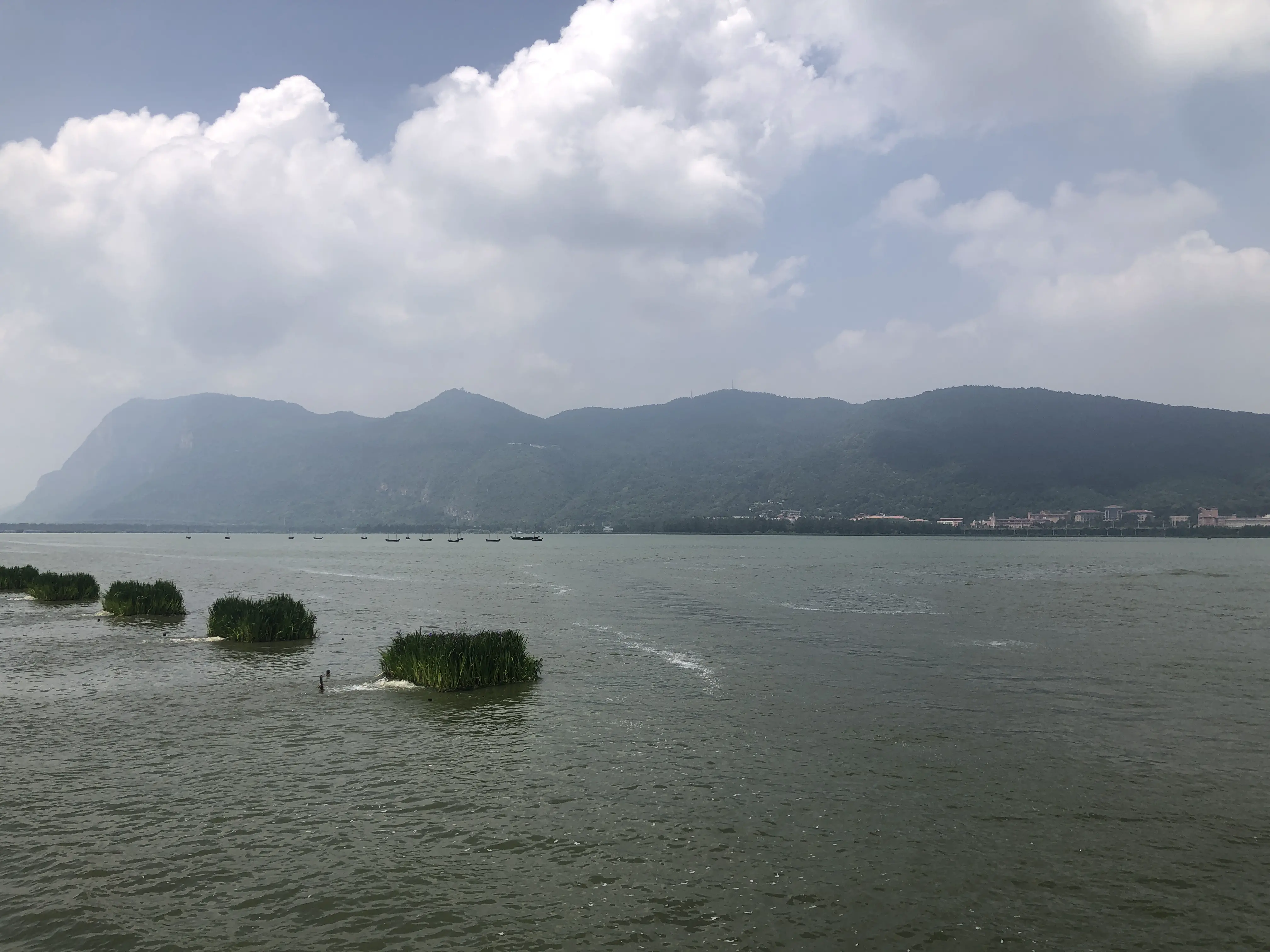 An image to describe post