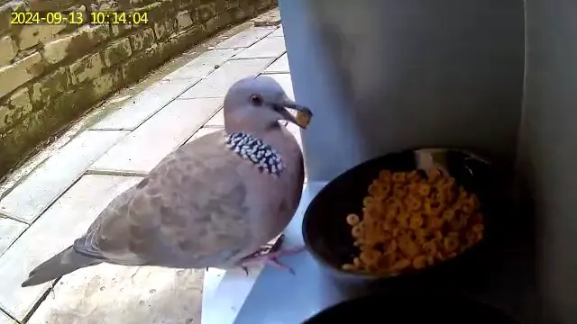 An image to describe post