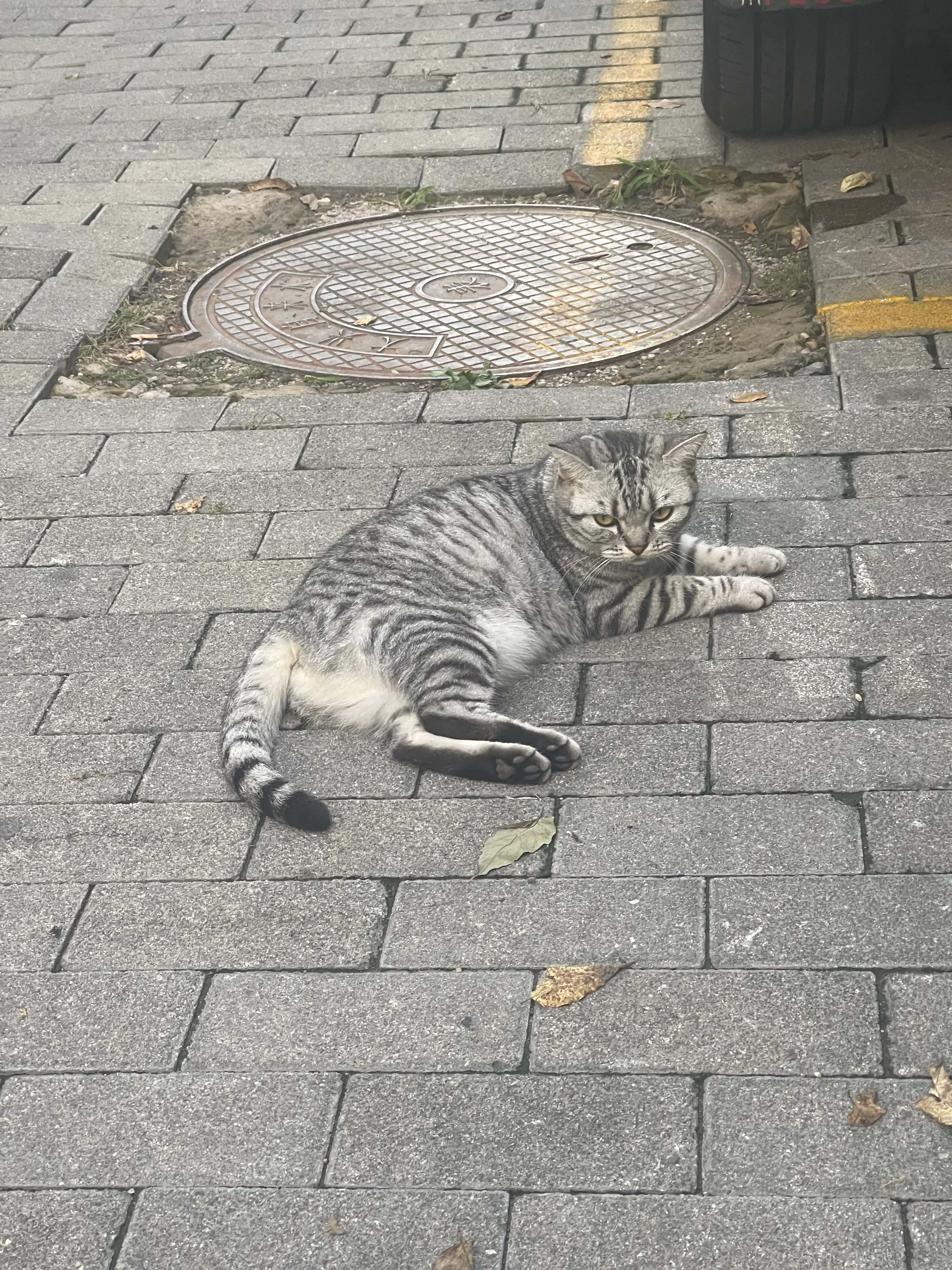 An image to describe post