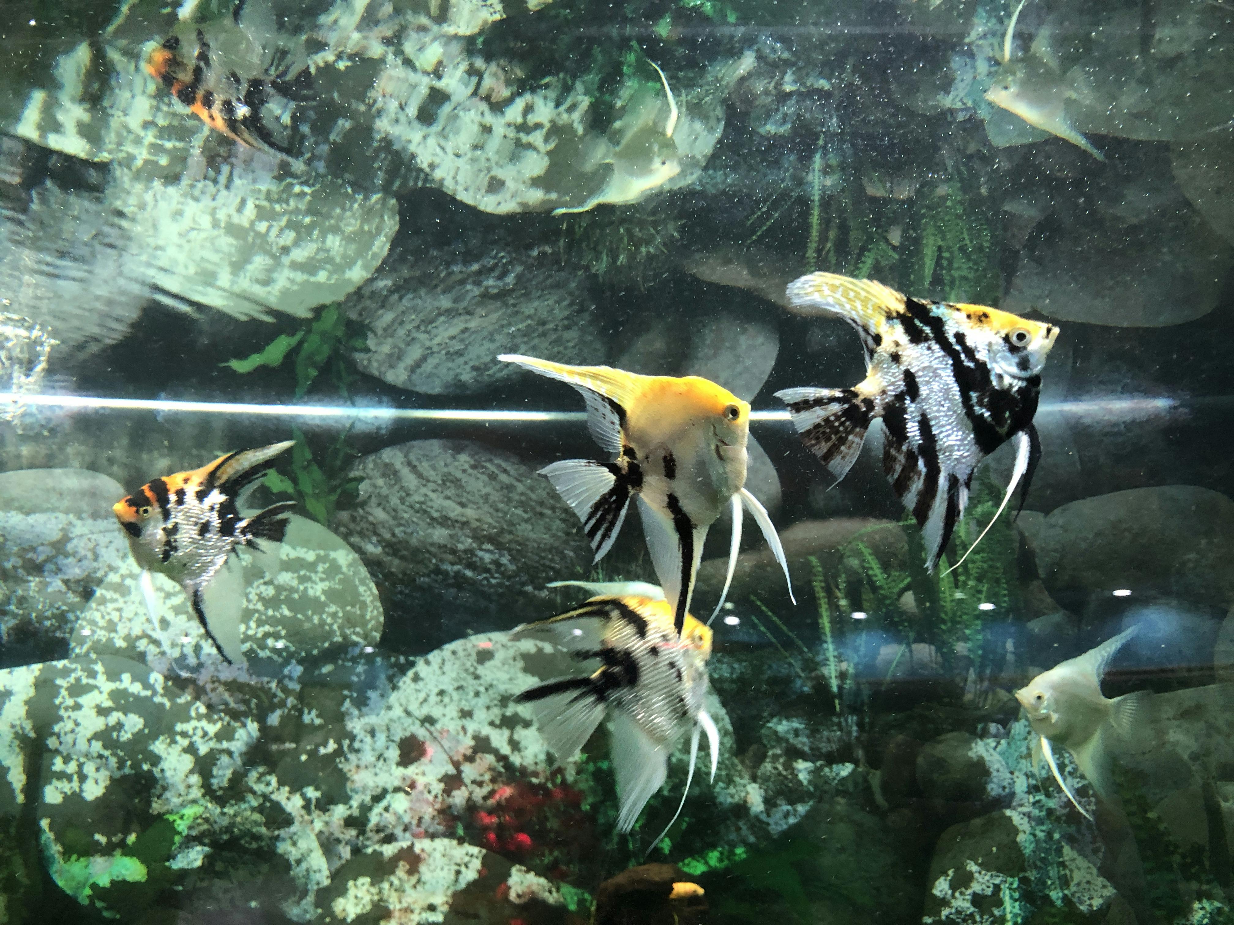 An image to describe post