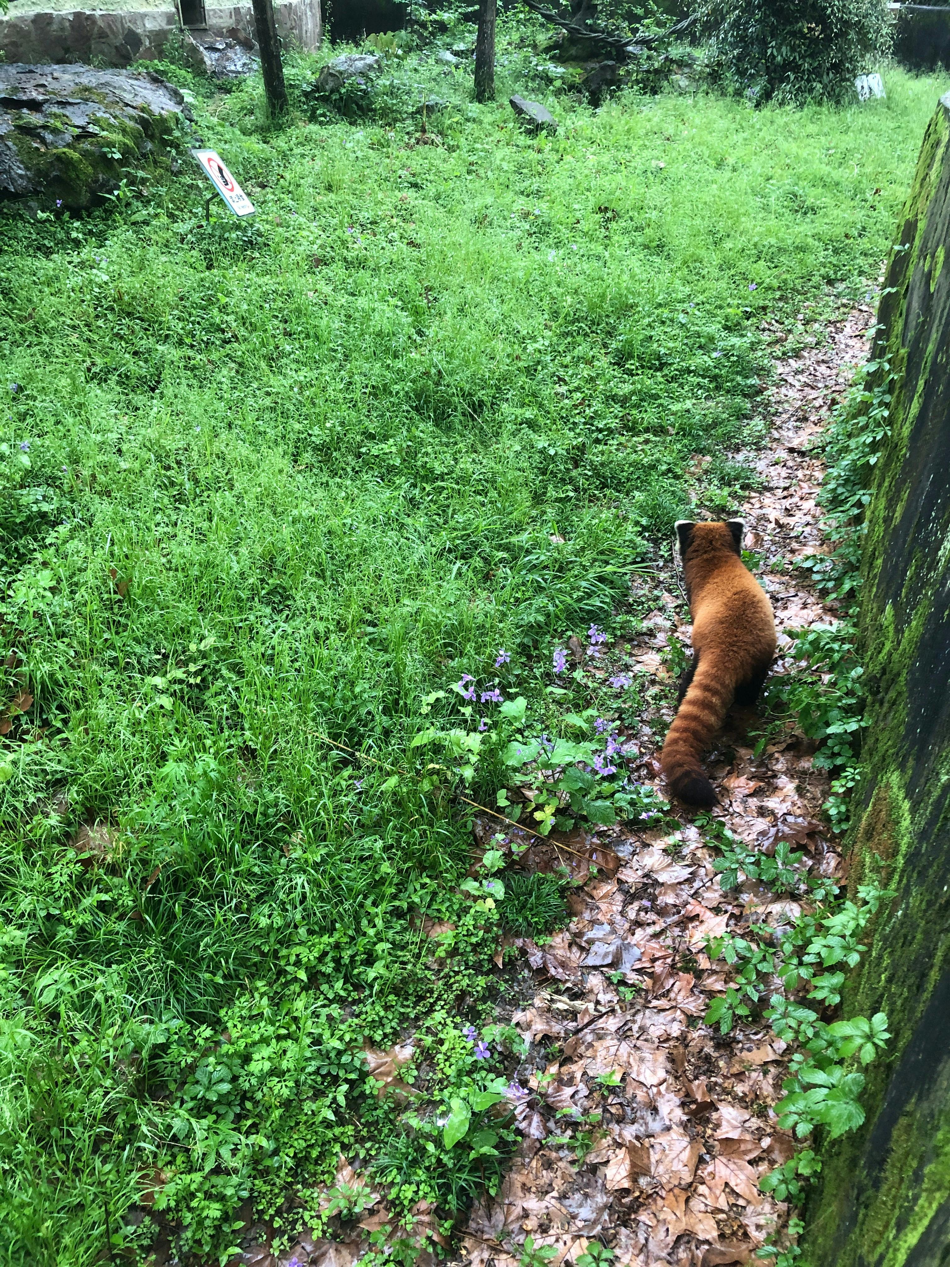 An image to describe post