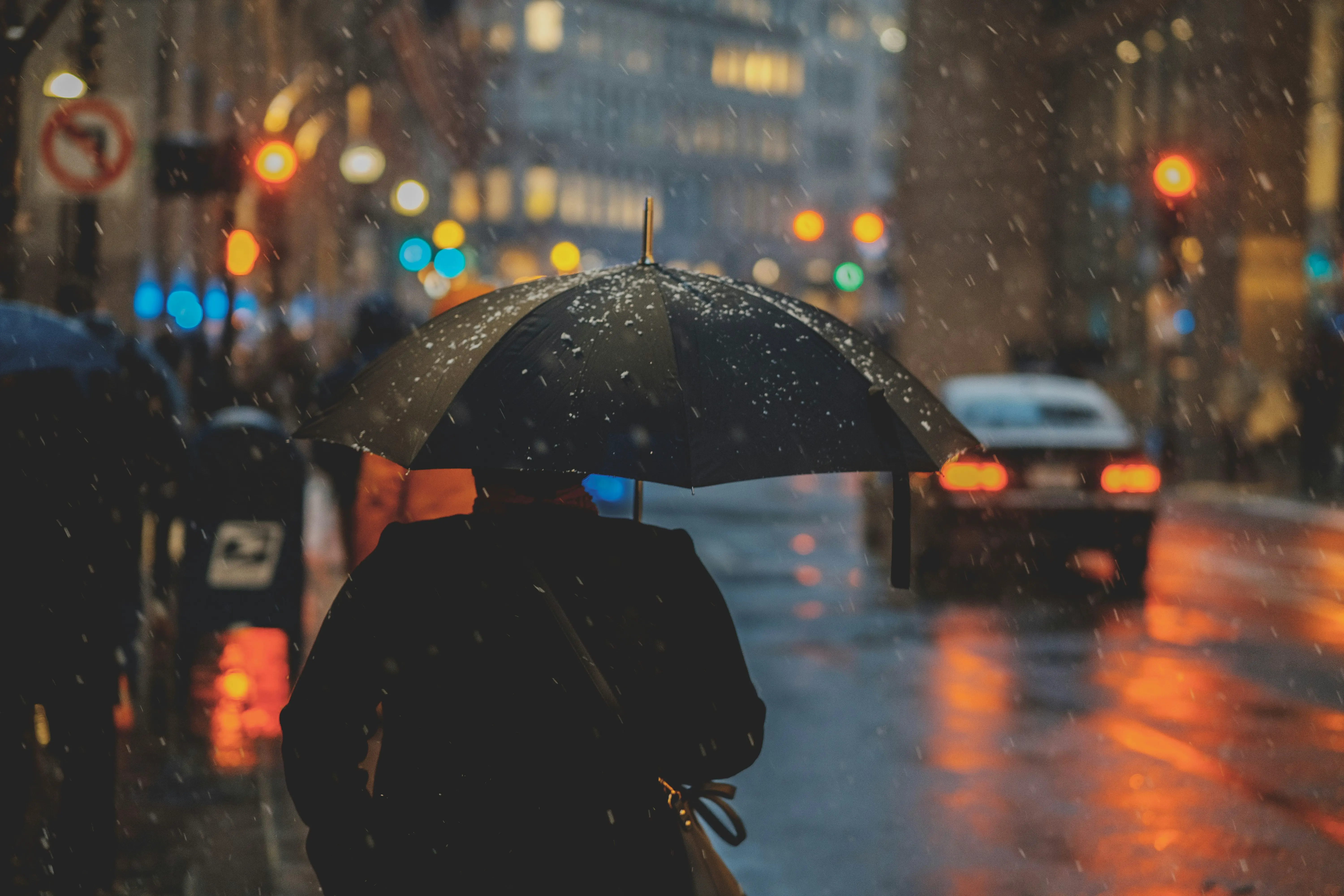 日评⎮风雨飘摇的日子里，抓一把伞