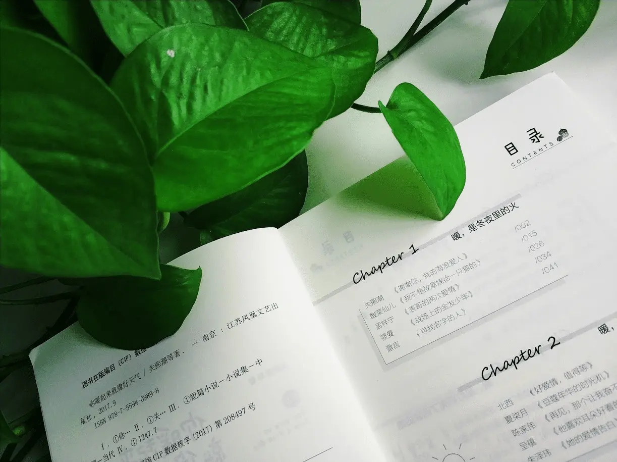 An image to describe post