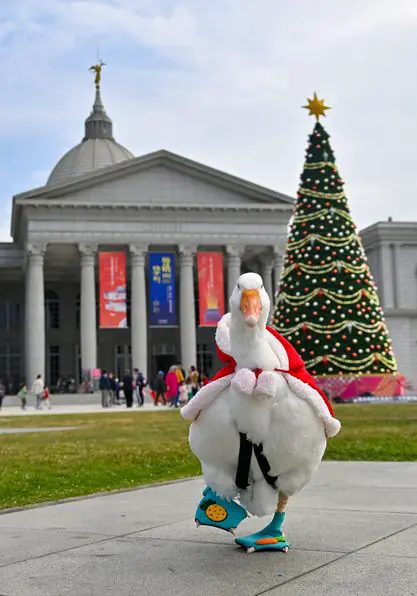 day13扩图分割阳光