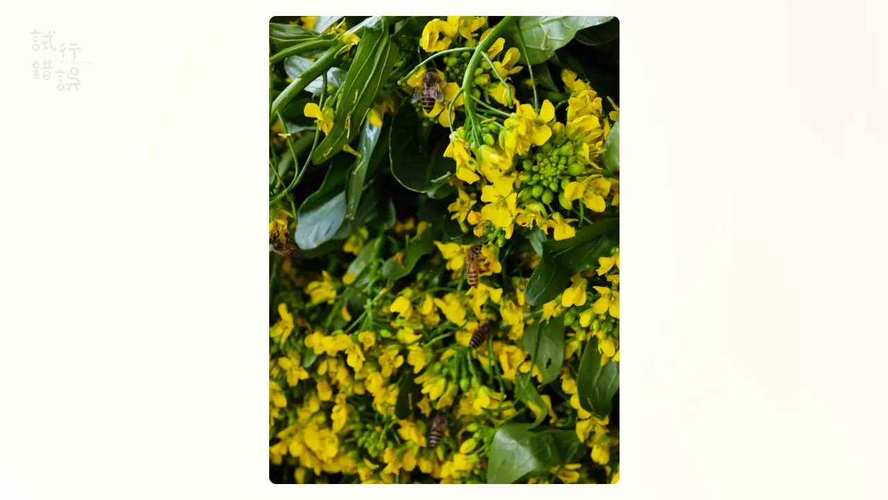 An image to describe post