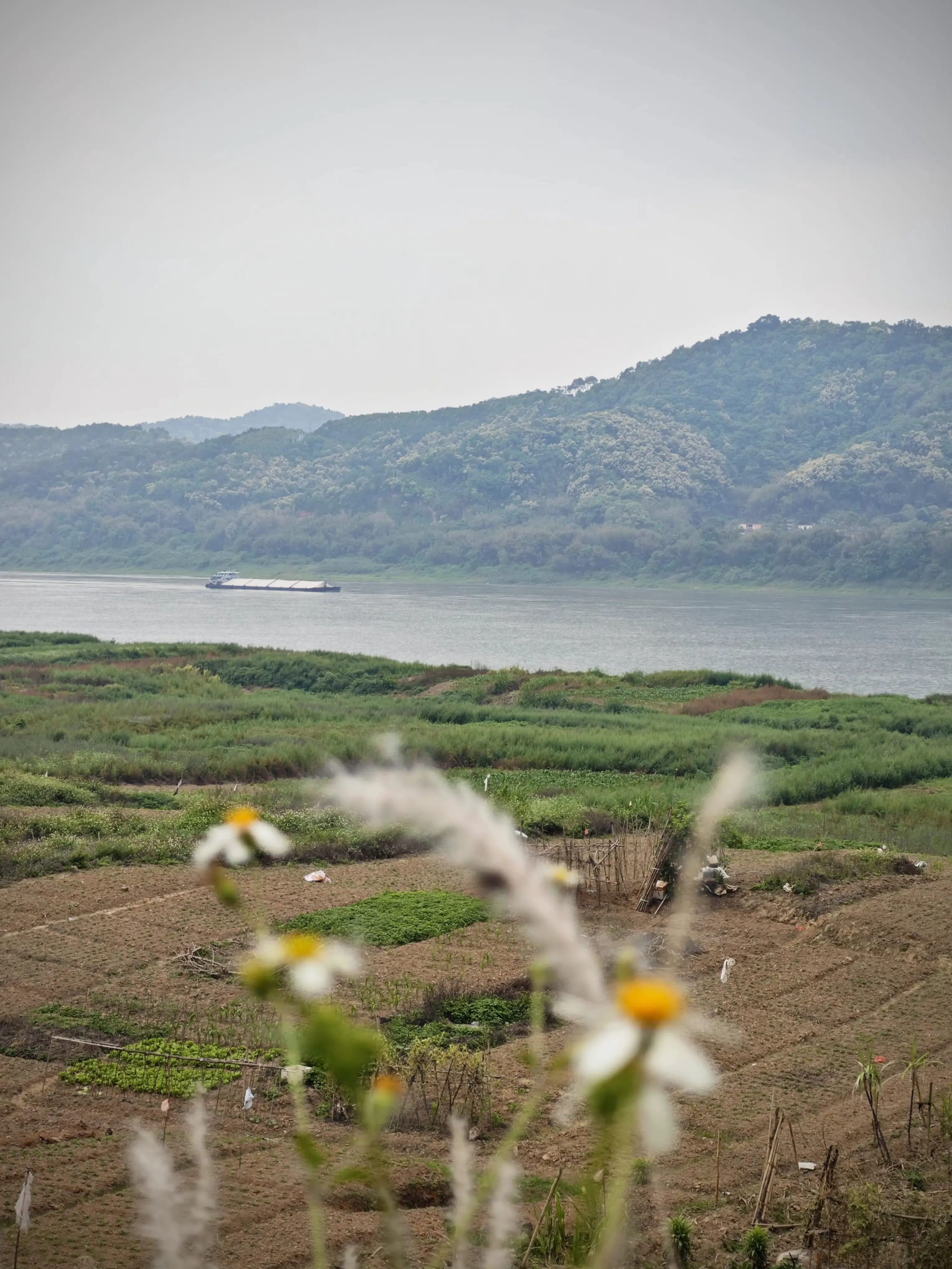 An image to describe post