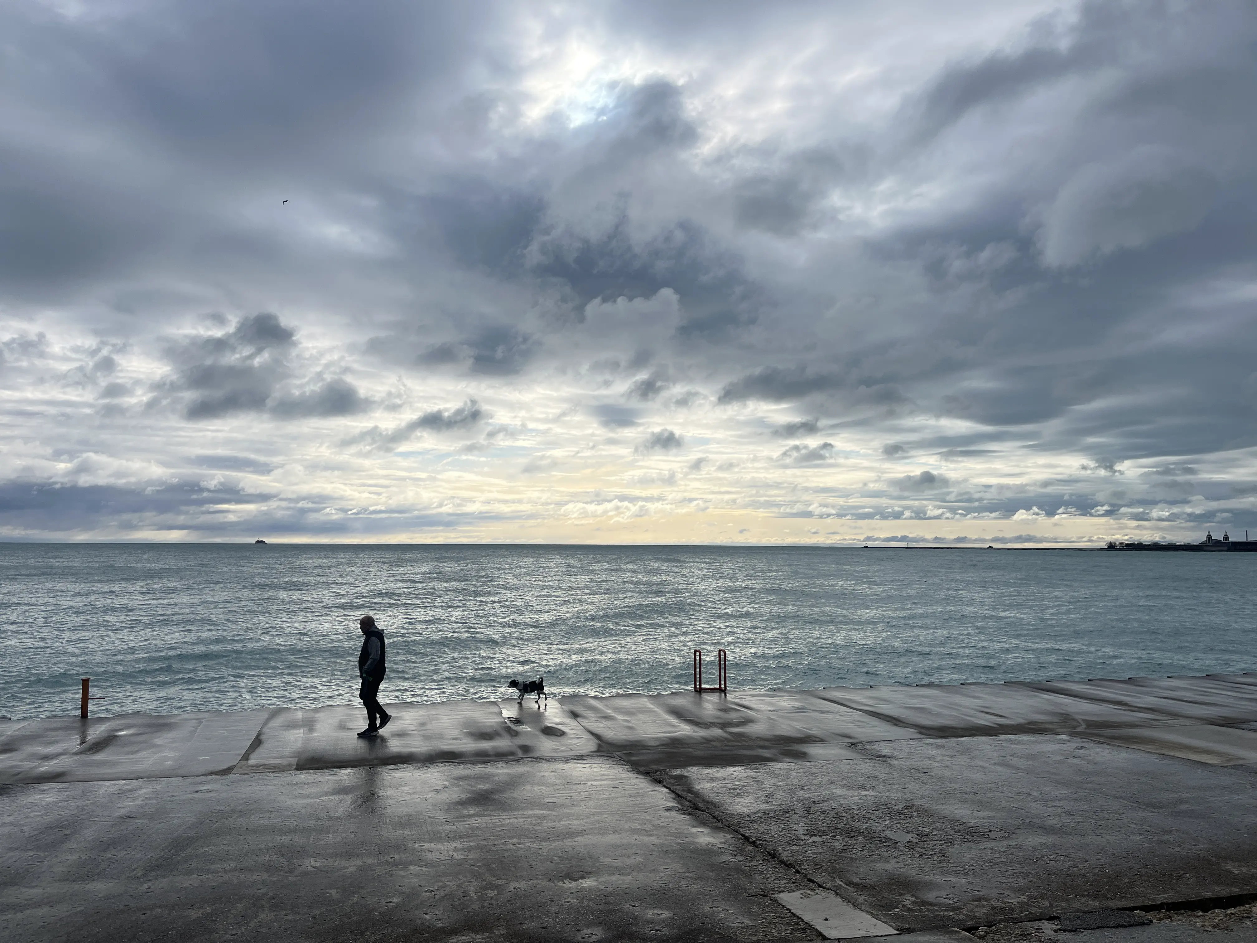 Issue #28 春天来信