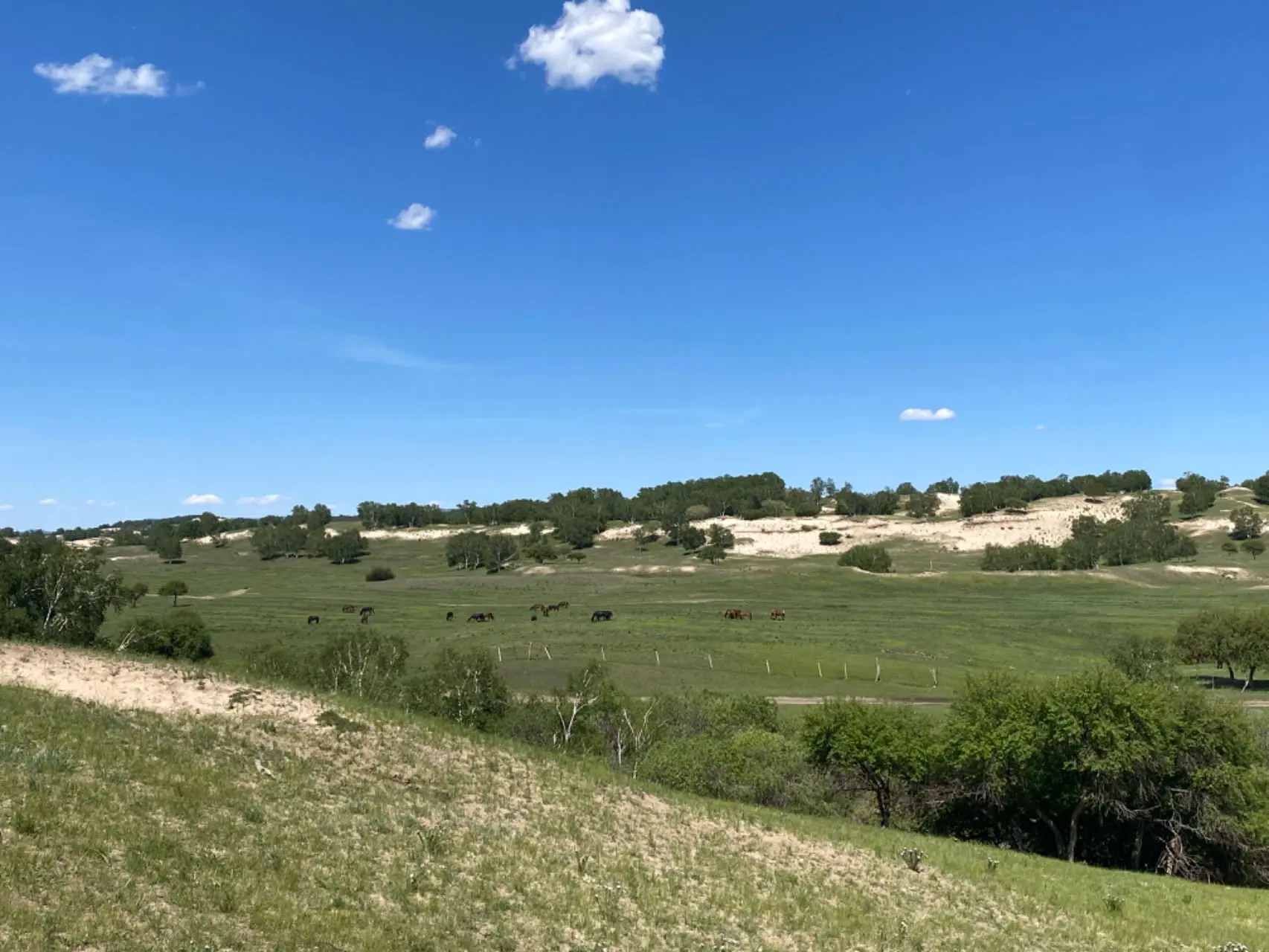 An image to describe post