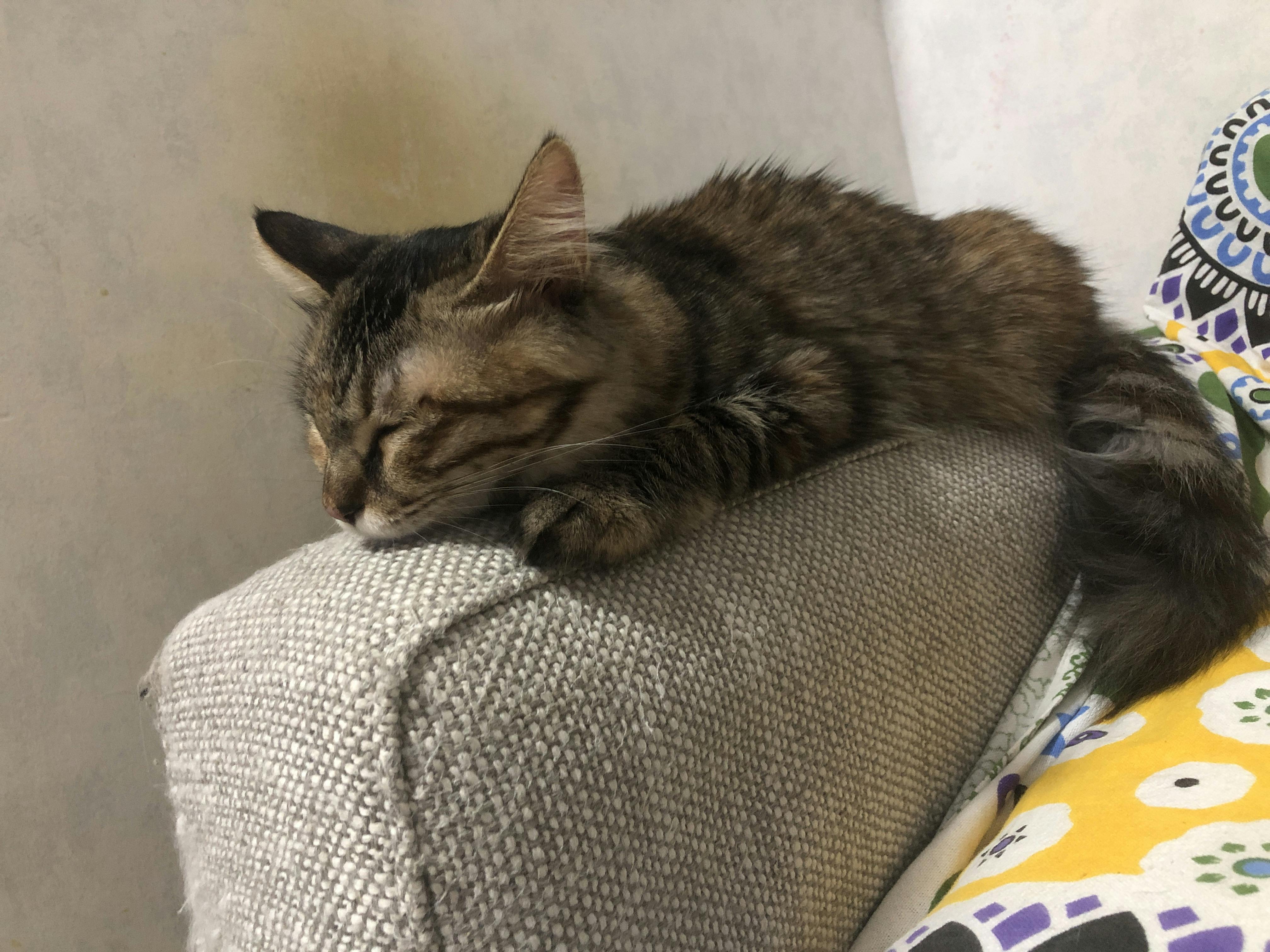 An image to describe post