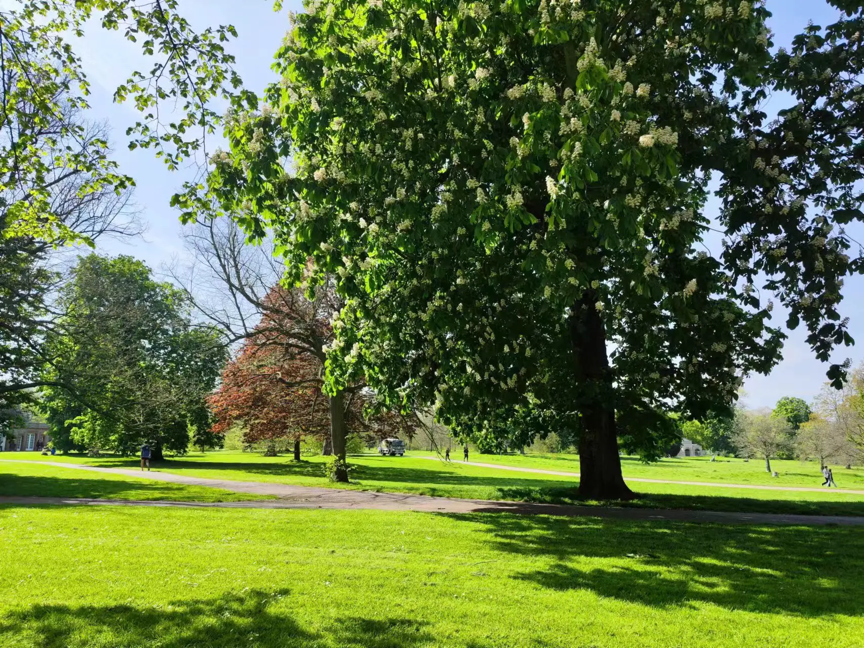 An image to describe post