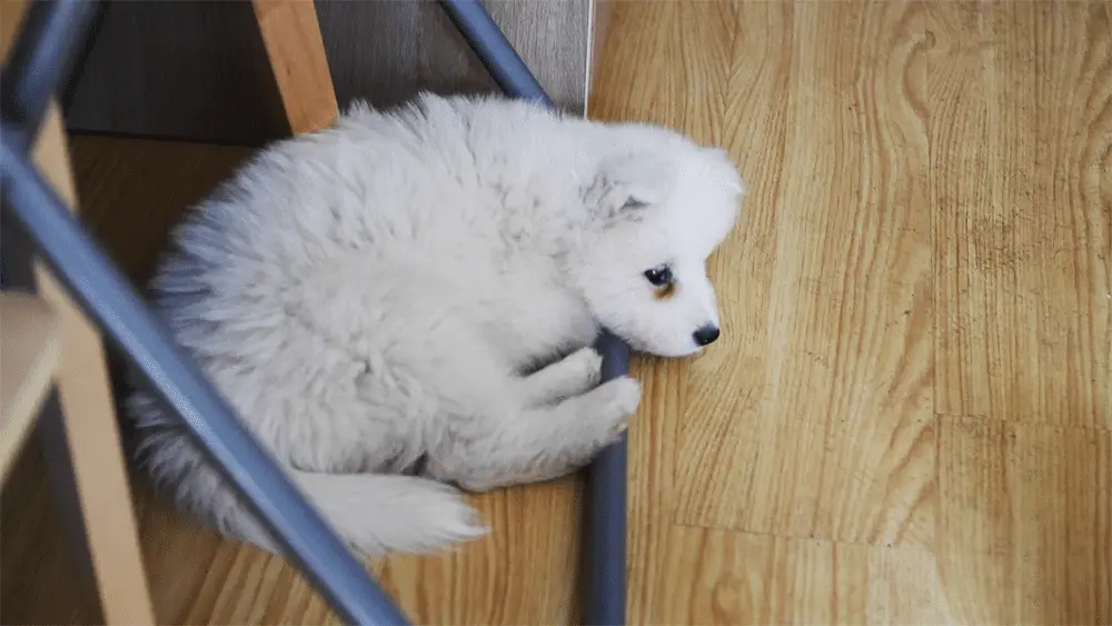 An image to describe post