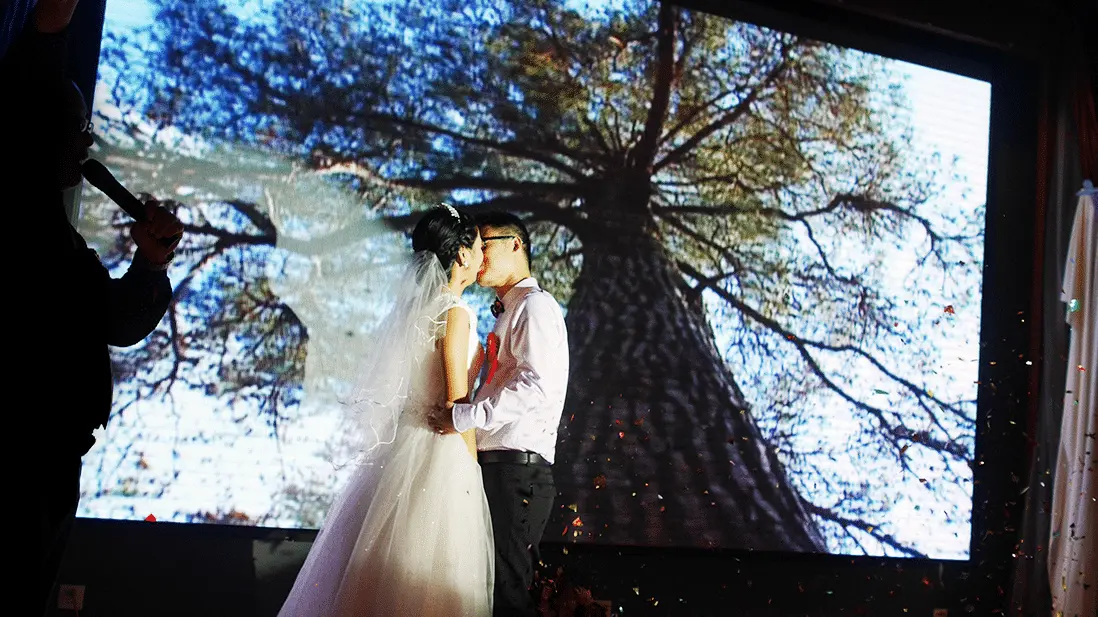 An image to describe post