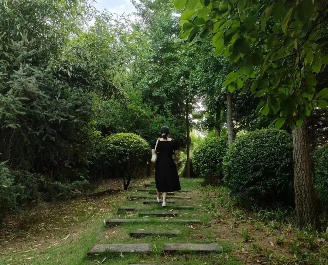 An image to describe post