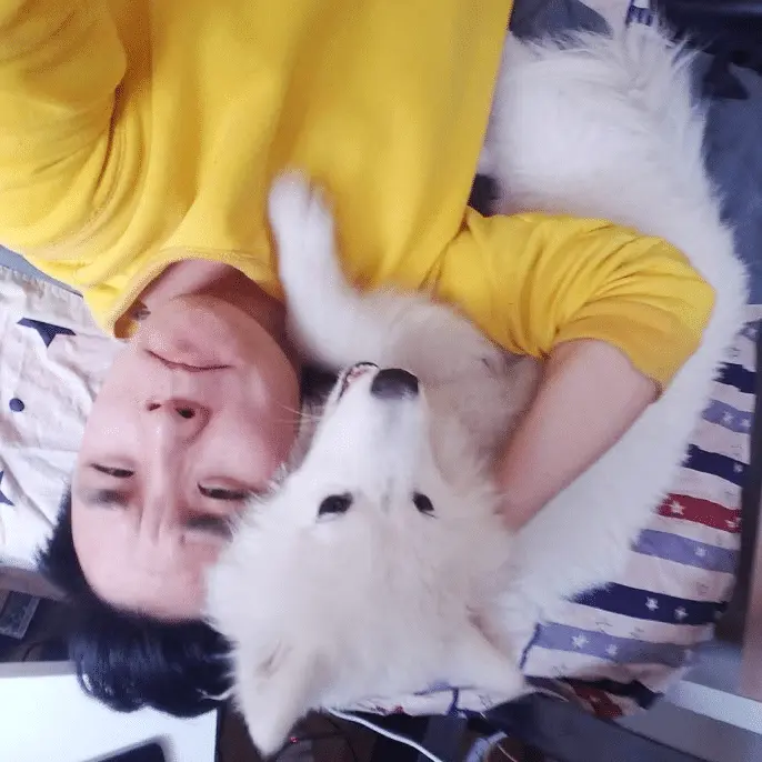 An image to describe post