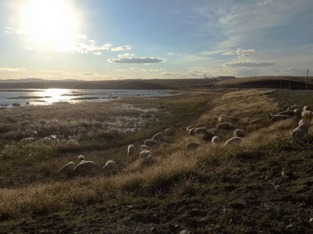 An image to describe post