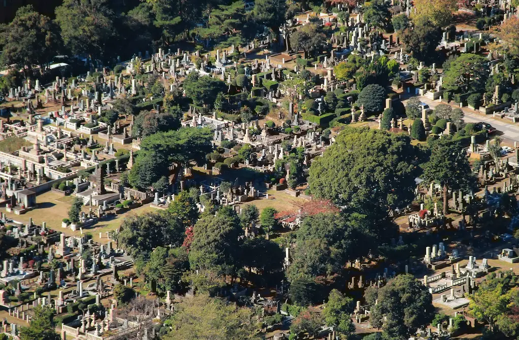 An image to describe post