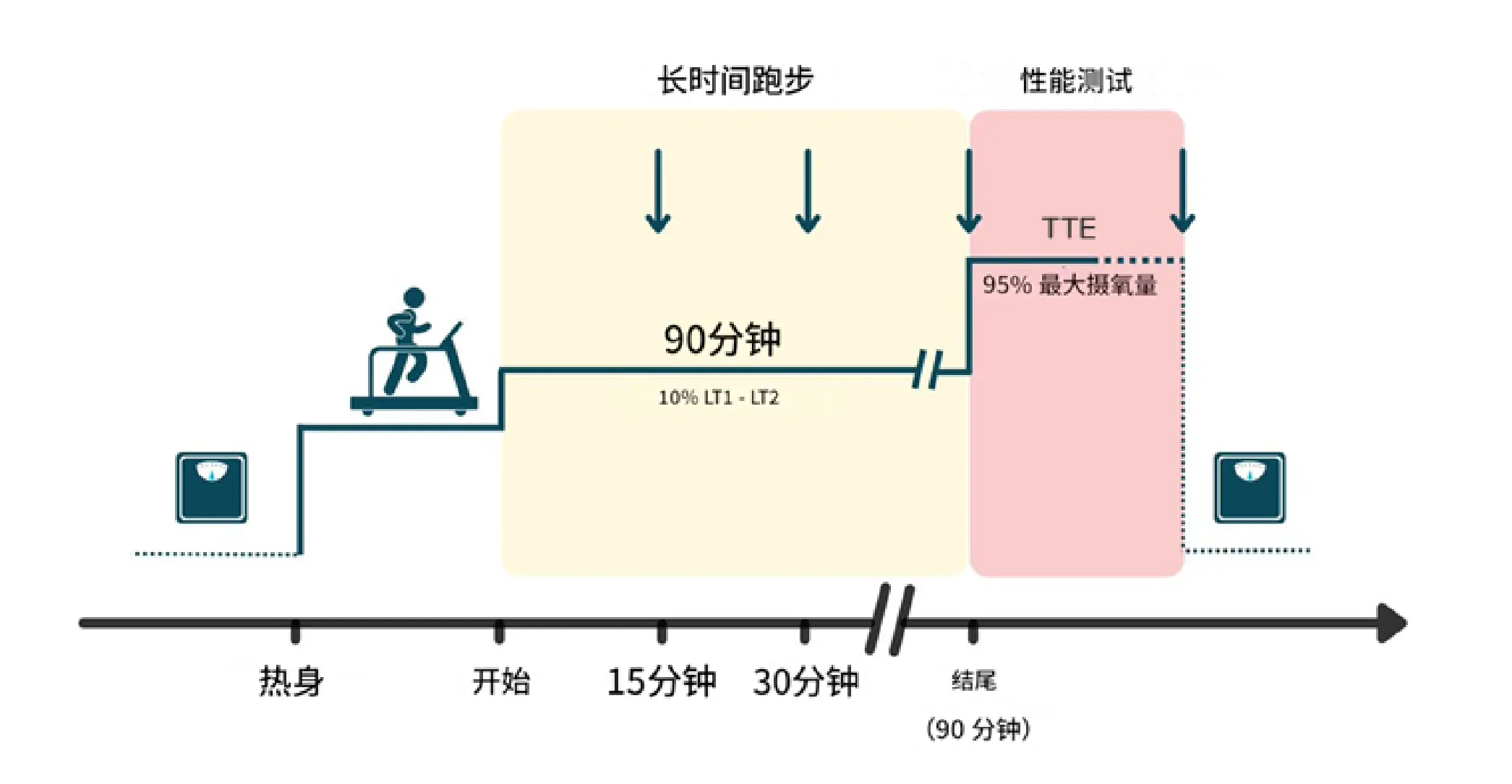 「实证有效」这种跳跃训练竟能让跑步耗氧降低8%？疲劳力竭时间延长35%！