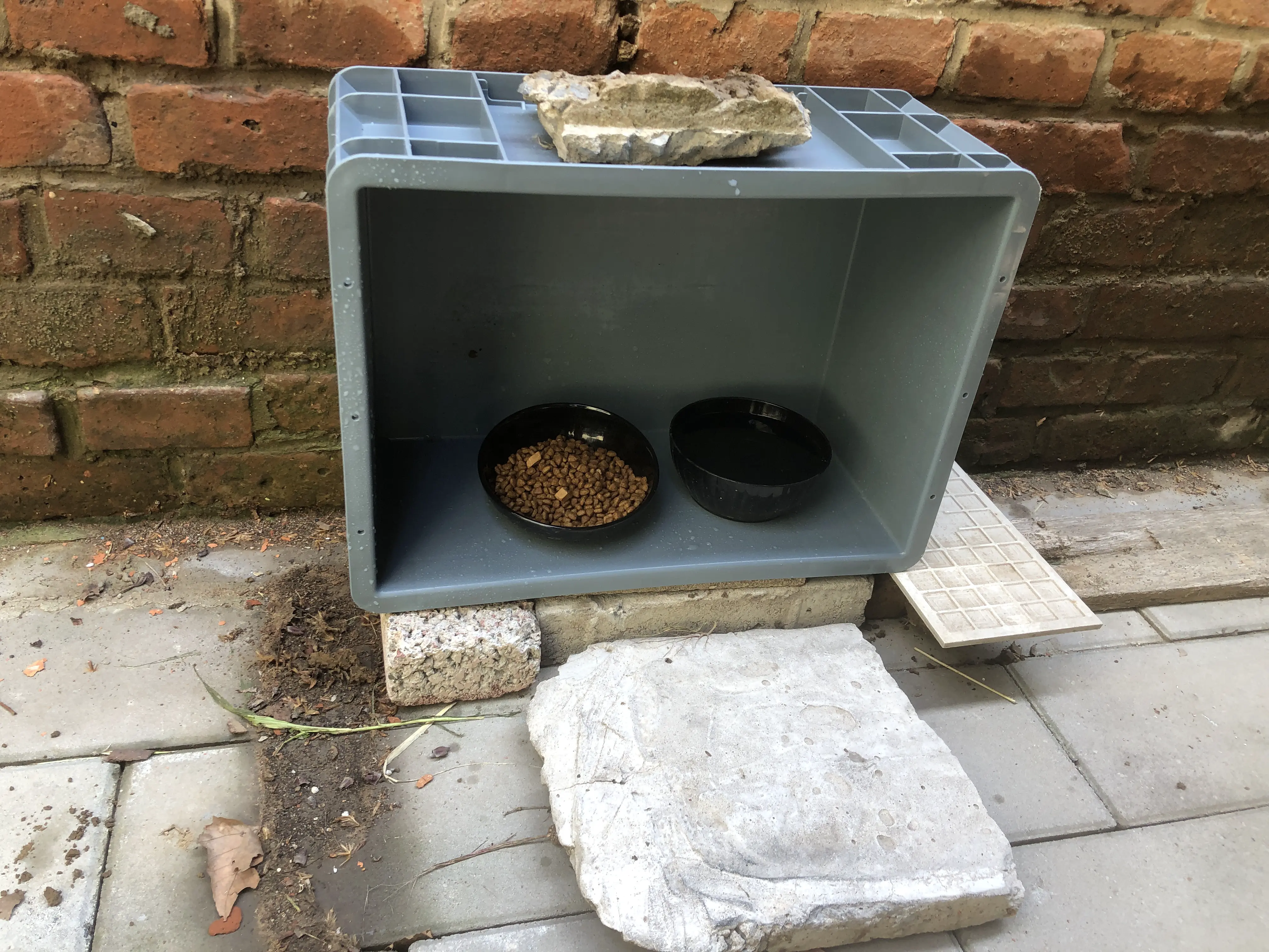 An image to describe post