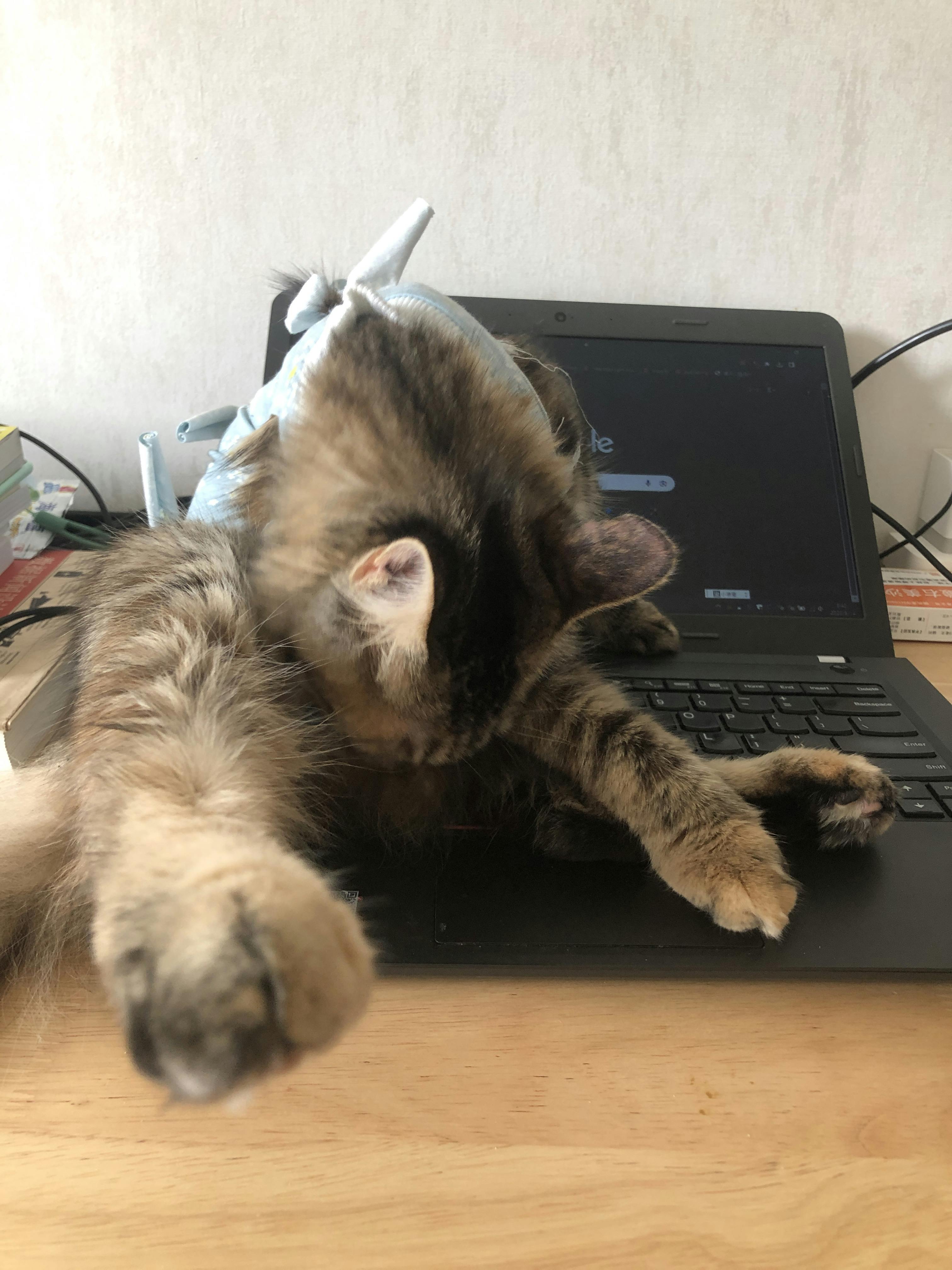 An image to describe post