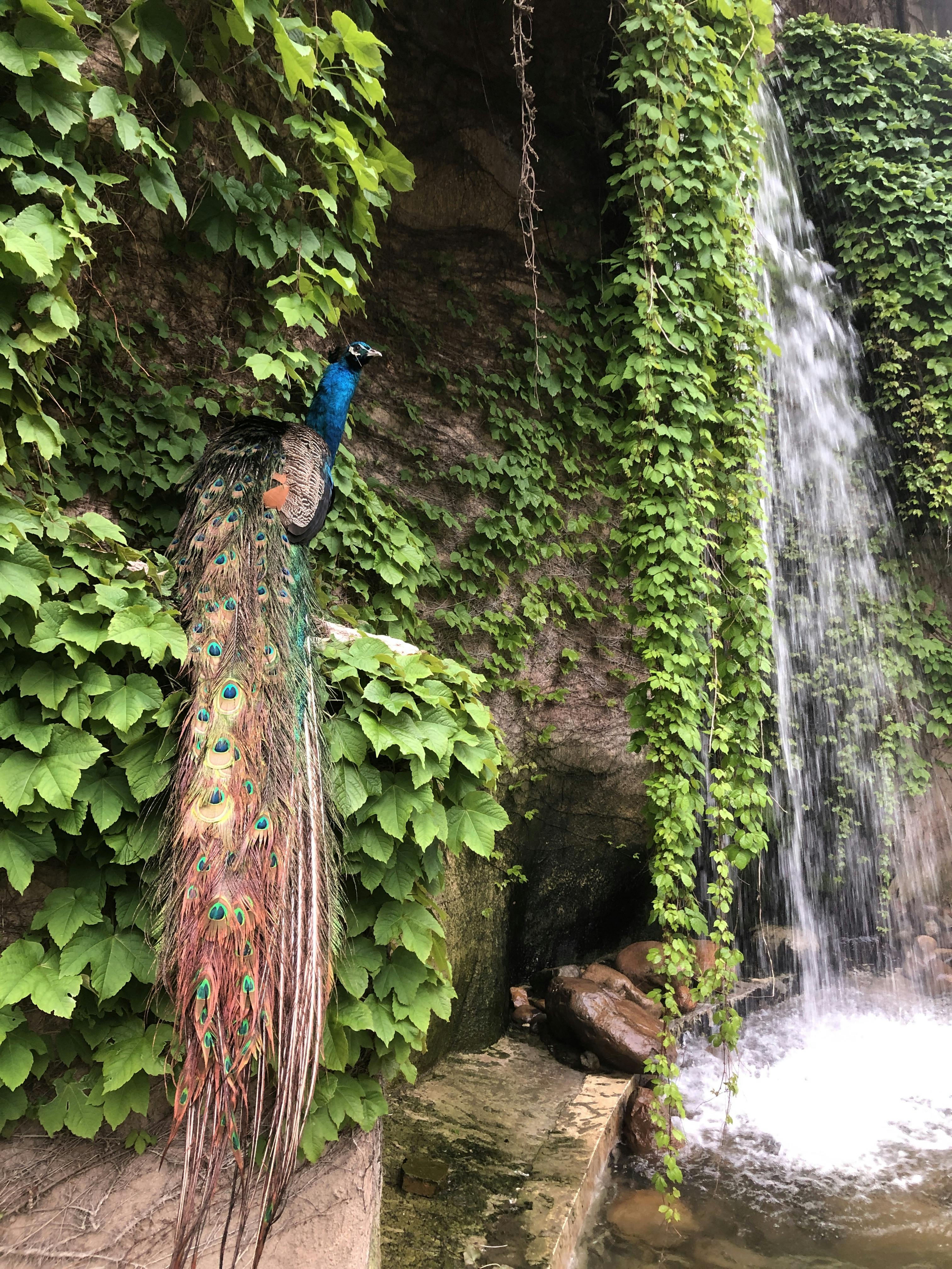 An image to describe post