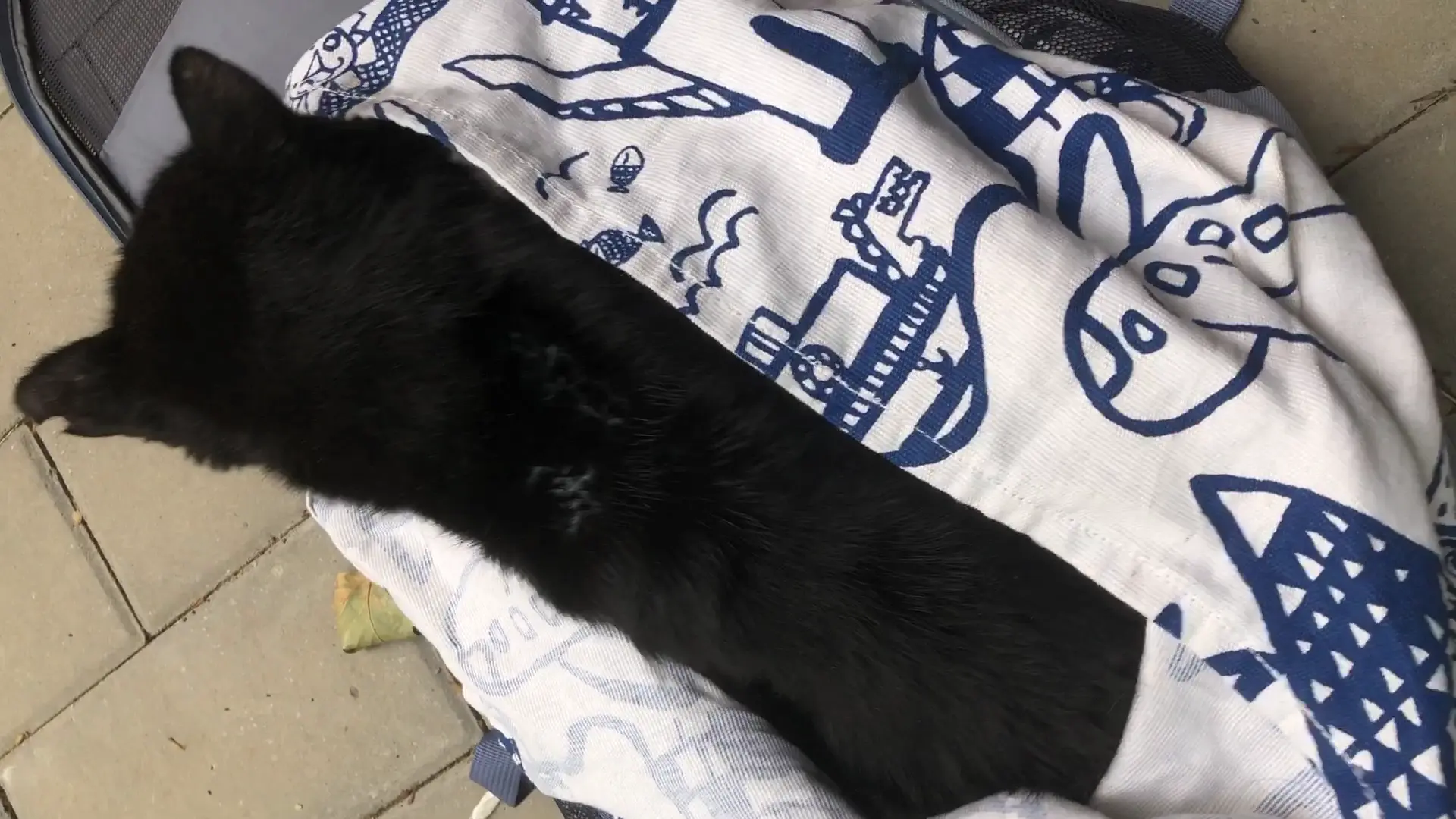 An image to describe post