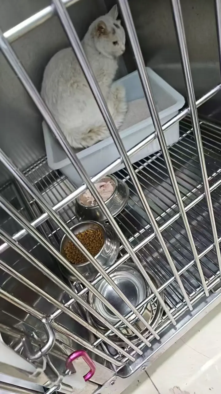 An image to describe post