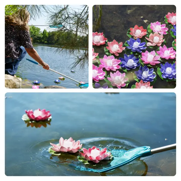 An image to describe post