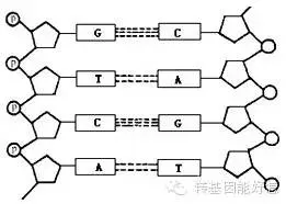 An image to describe post 孟山都的两难选择：谋财还是害命？