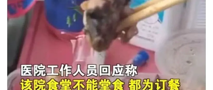 重庆医院食堂吃出老鼠头，这回居然爽快承认了