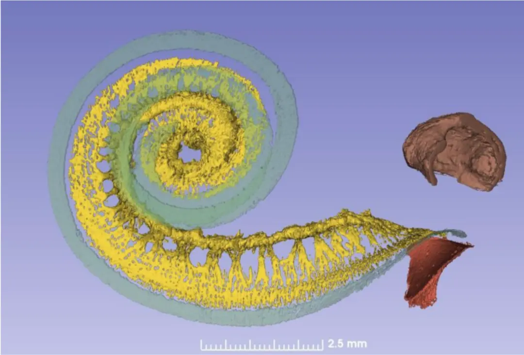 An image to describe post