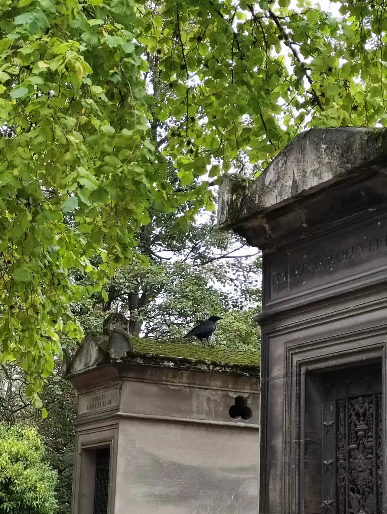 An image to describe post