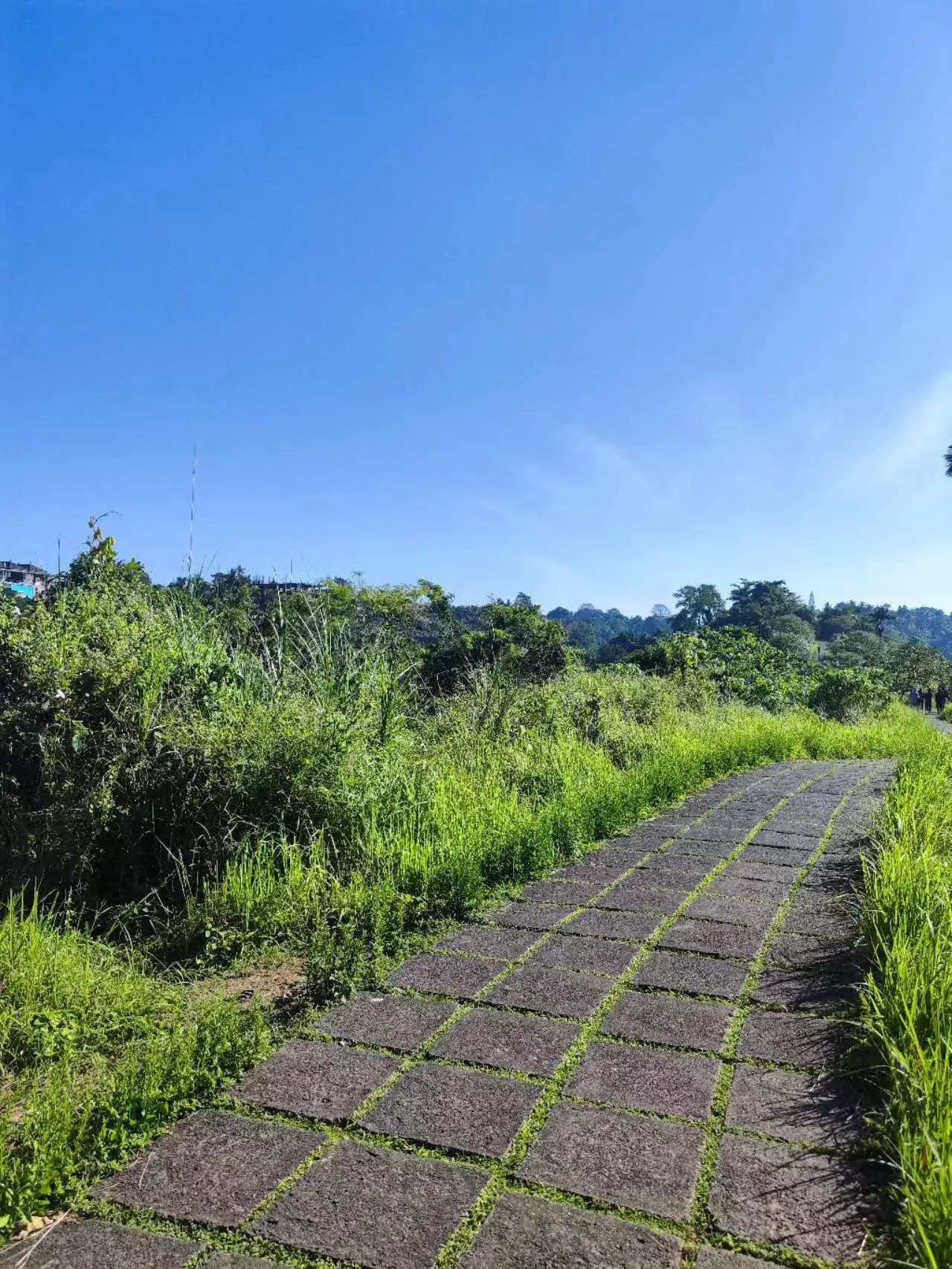 An image to describe post