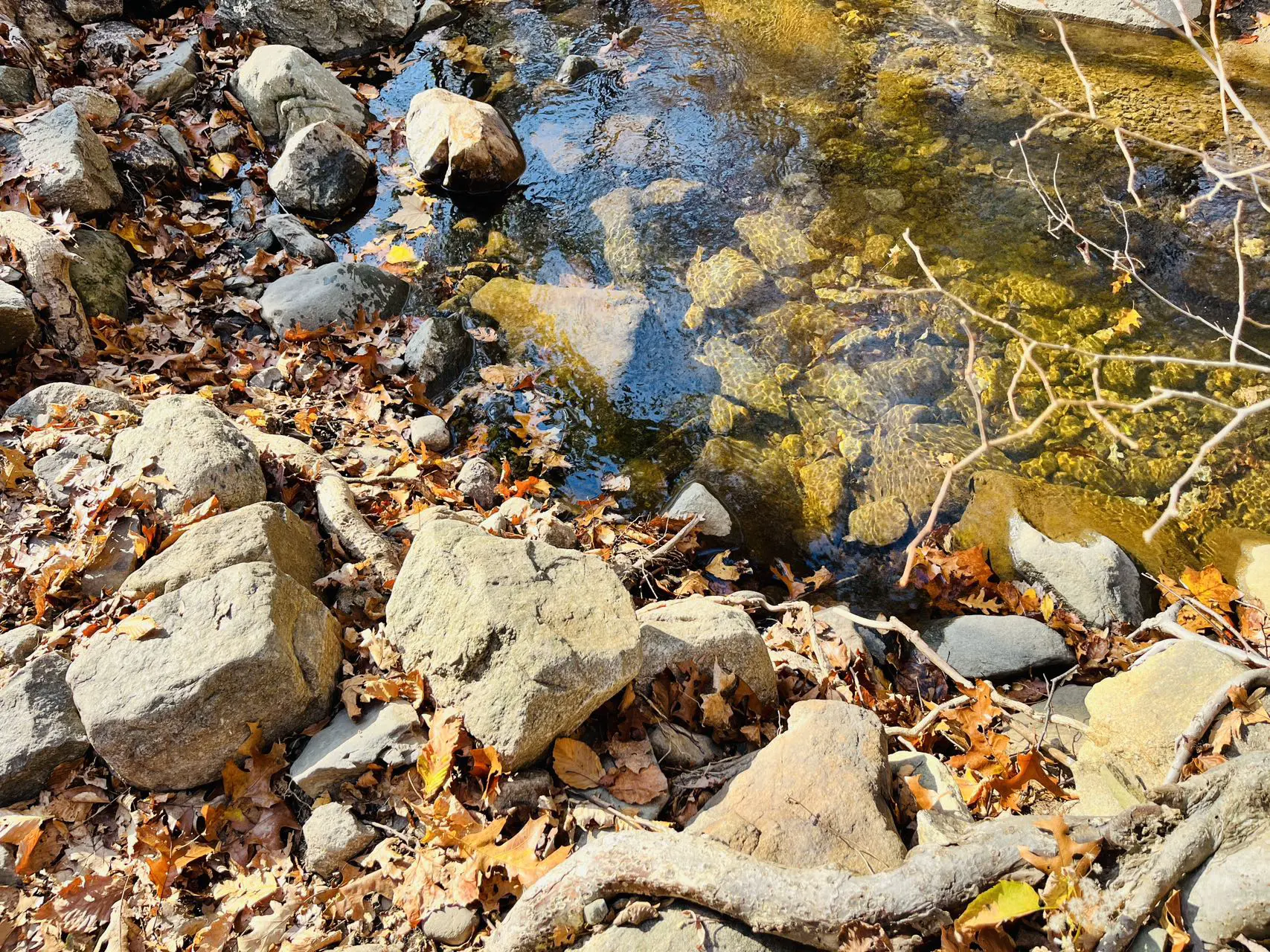 An image to describe post