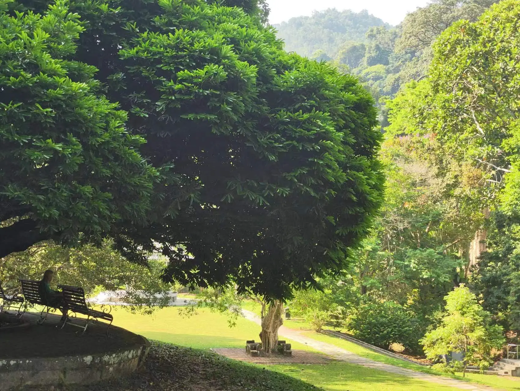 An image to describe post