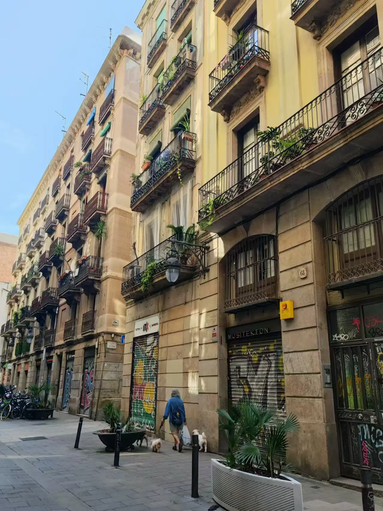 An image to describe post