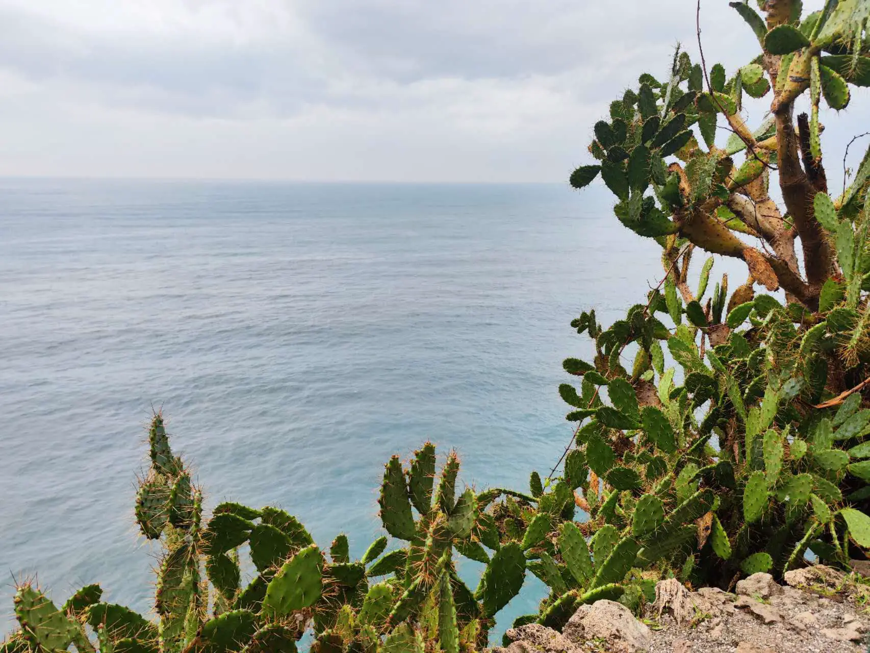 An image to describe post