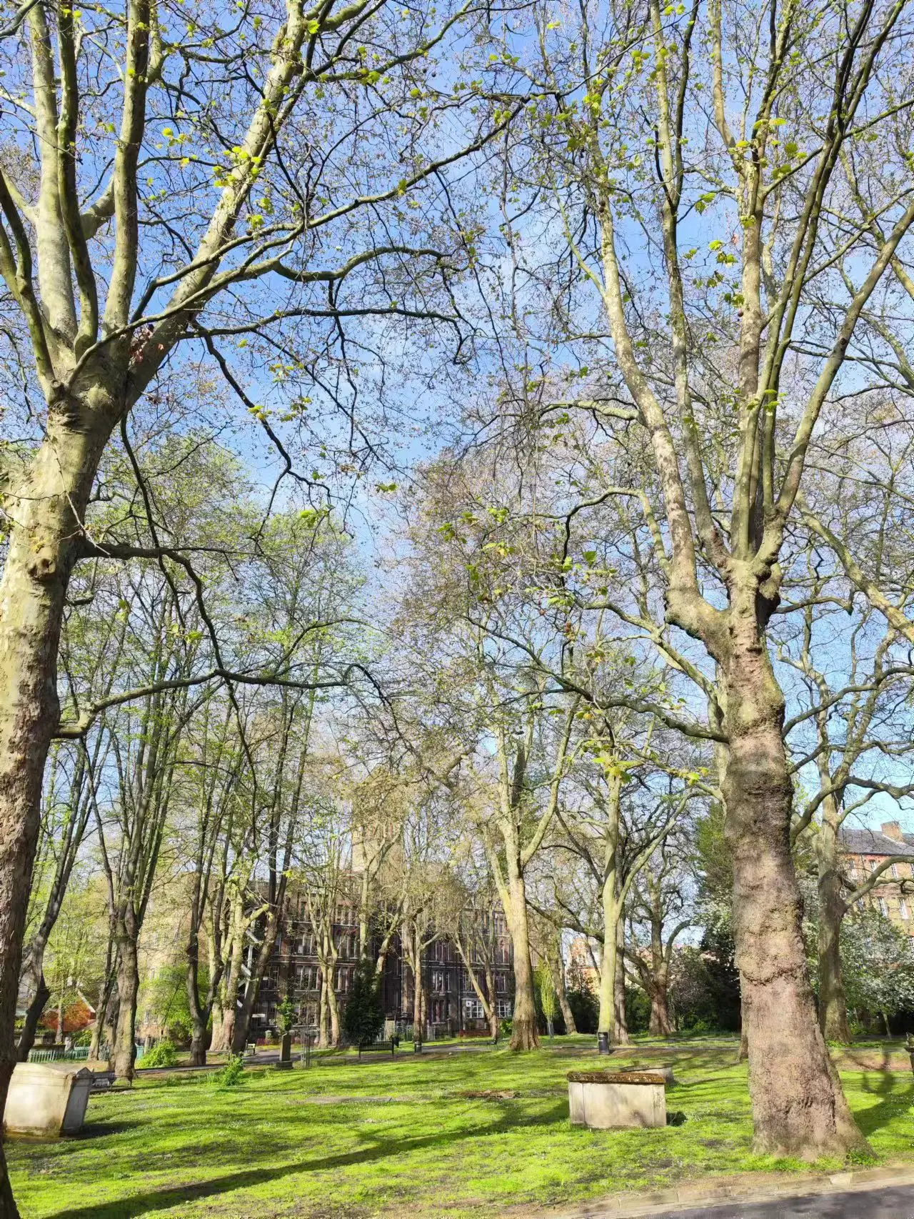 An image to describe post