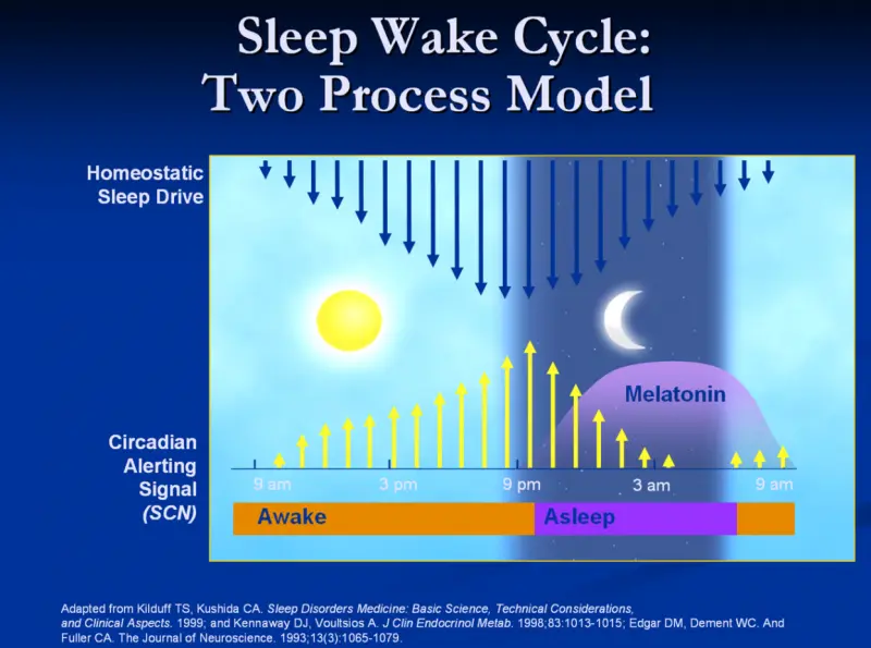 An image to describe post