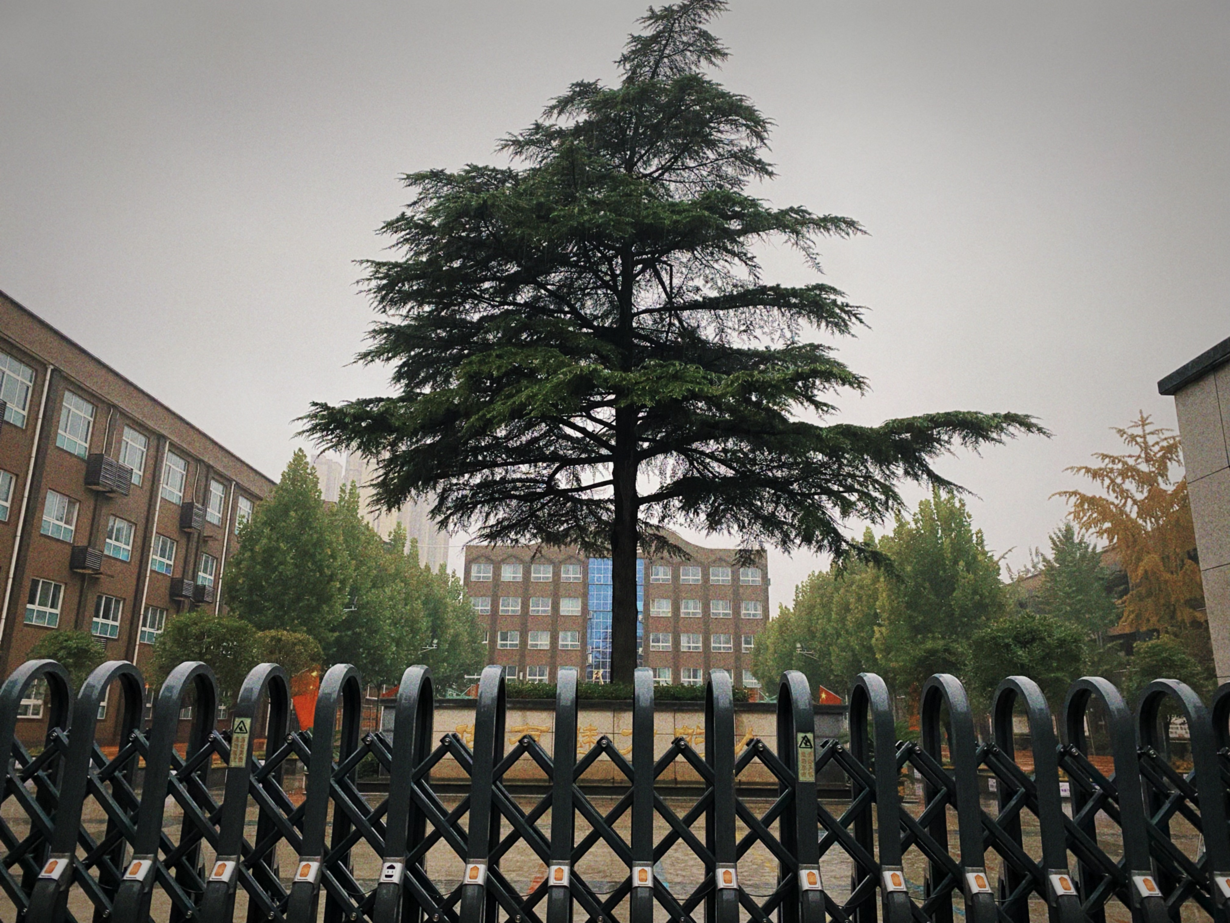 An image to describe post