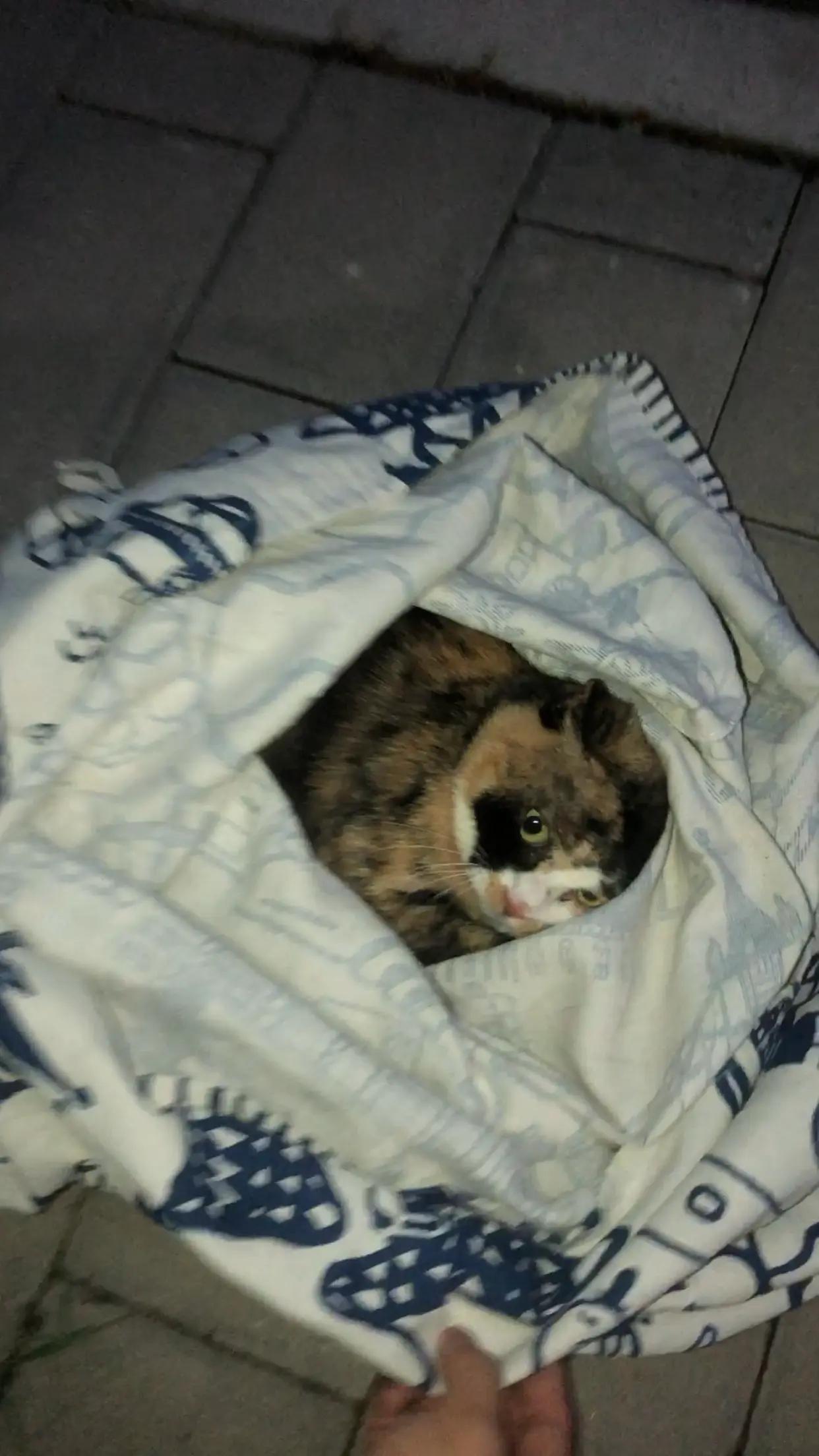 An image to describe post