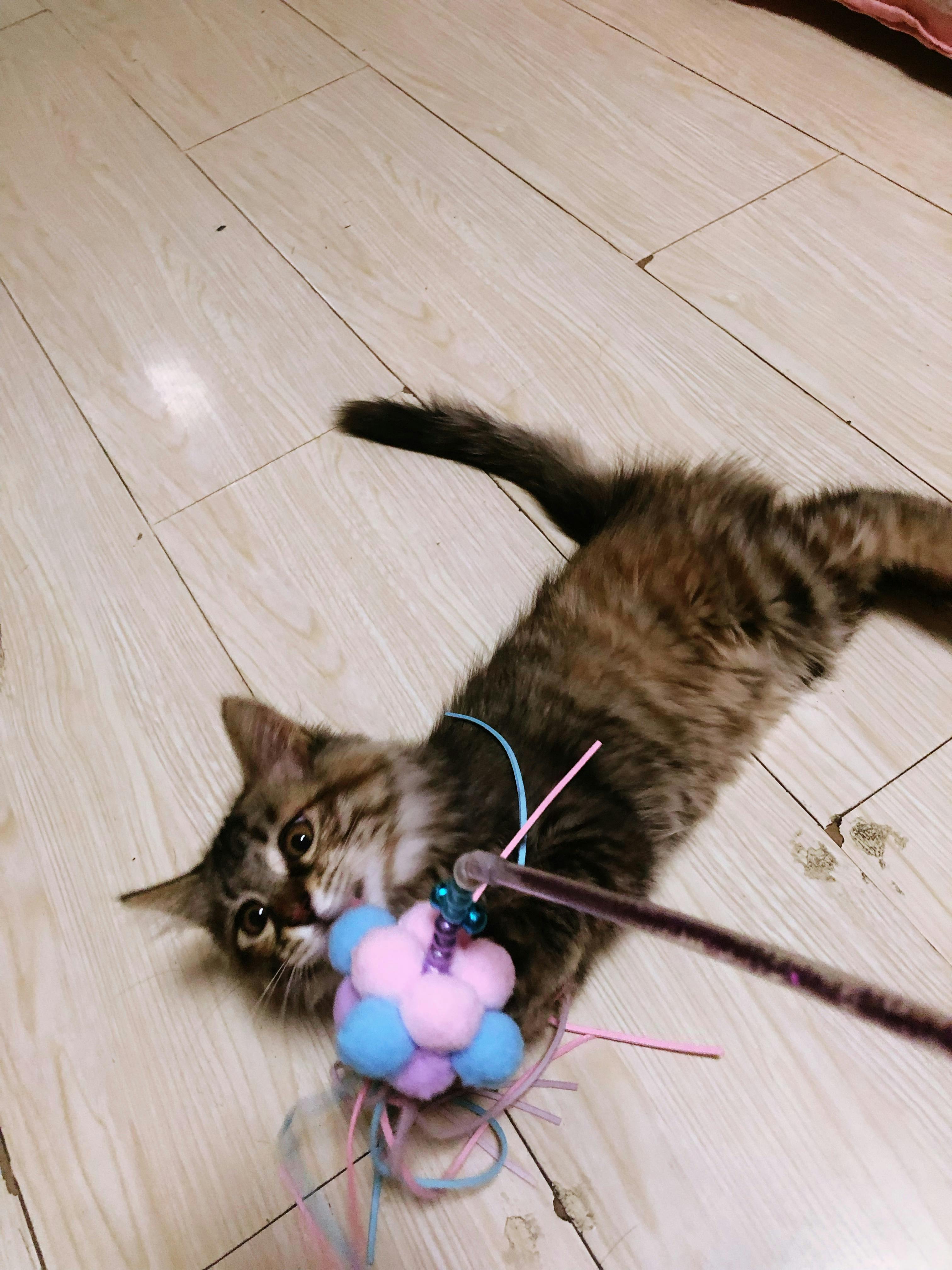 An image to describe post