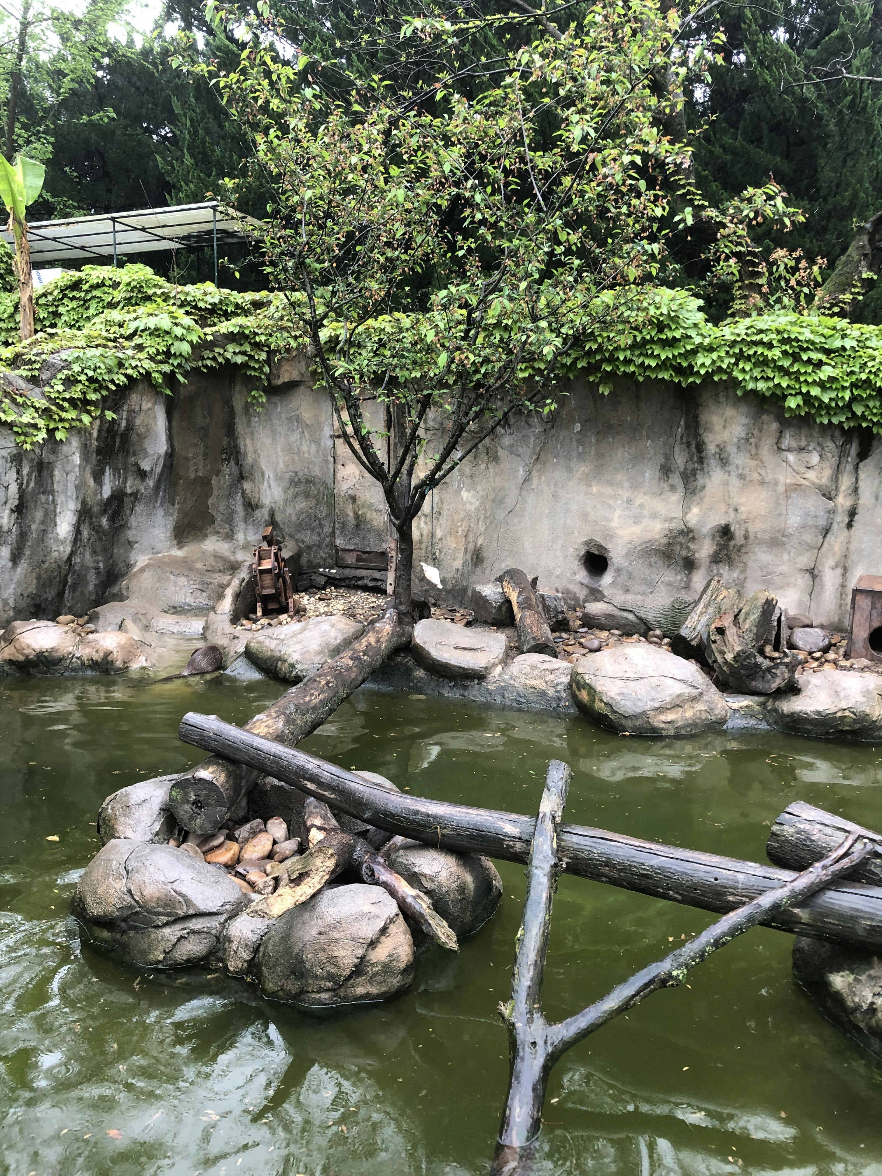 An image to describe post